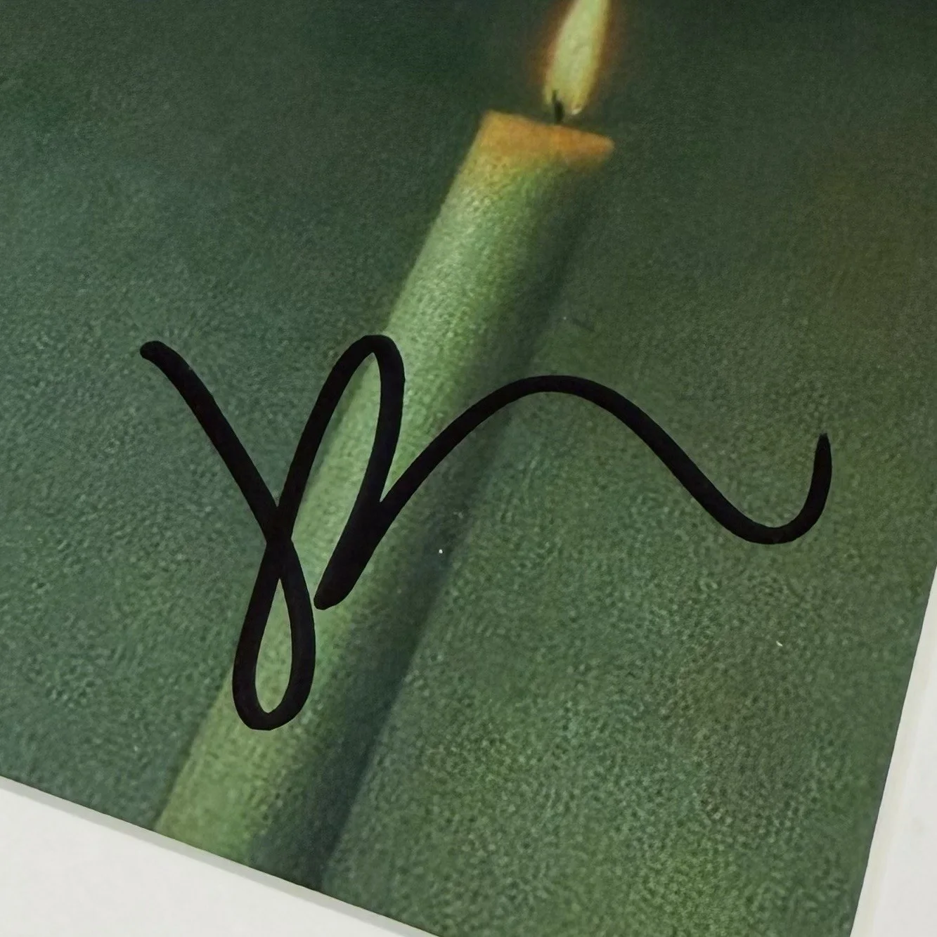 KIM GORDON SIGNED SONIC YOUTH DAYDREAM NATION ALBUM CD FRAMED AUTOGRAPH PSA COA, изображение 3
