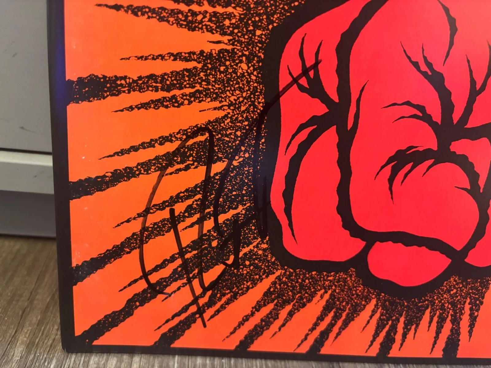METALLICA SIGNED AUTOGRAPHED LP VINYL ST ANGER RARE ROBERT TRUJILO IN PERSON, изображение 2