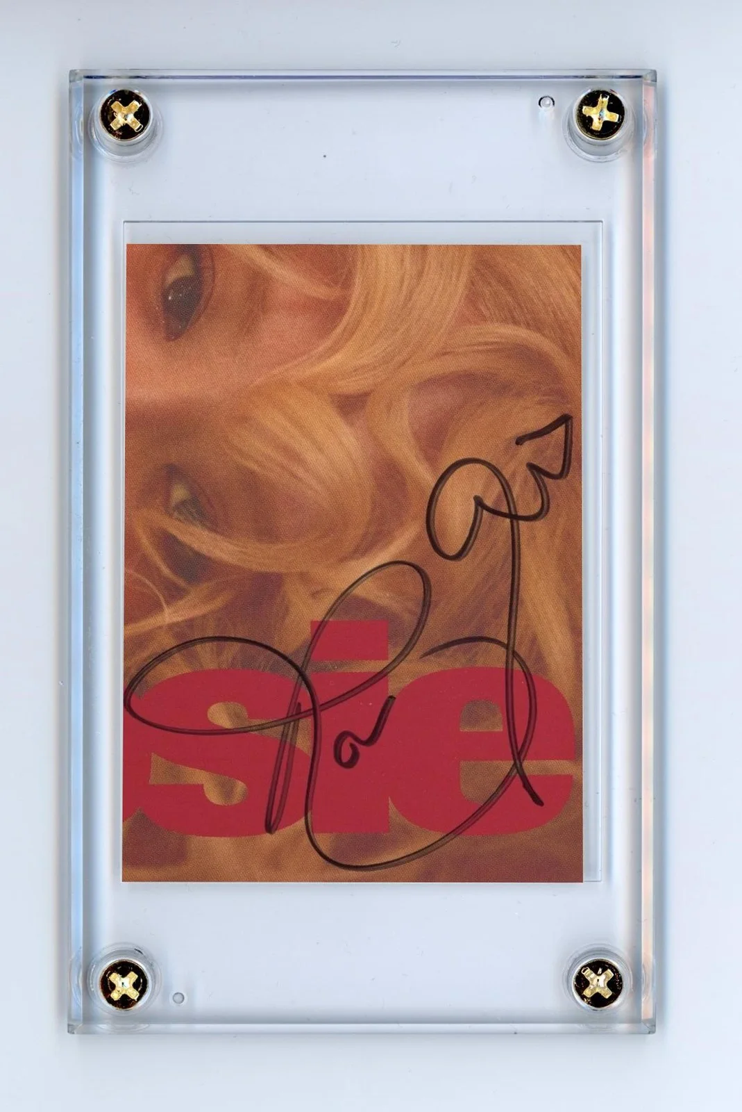 Rosé — Rosé Autographed Trading Card Sized Signed Cut Blackpink Rosie ACOA