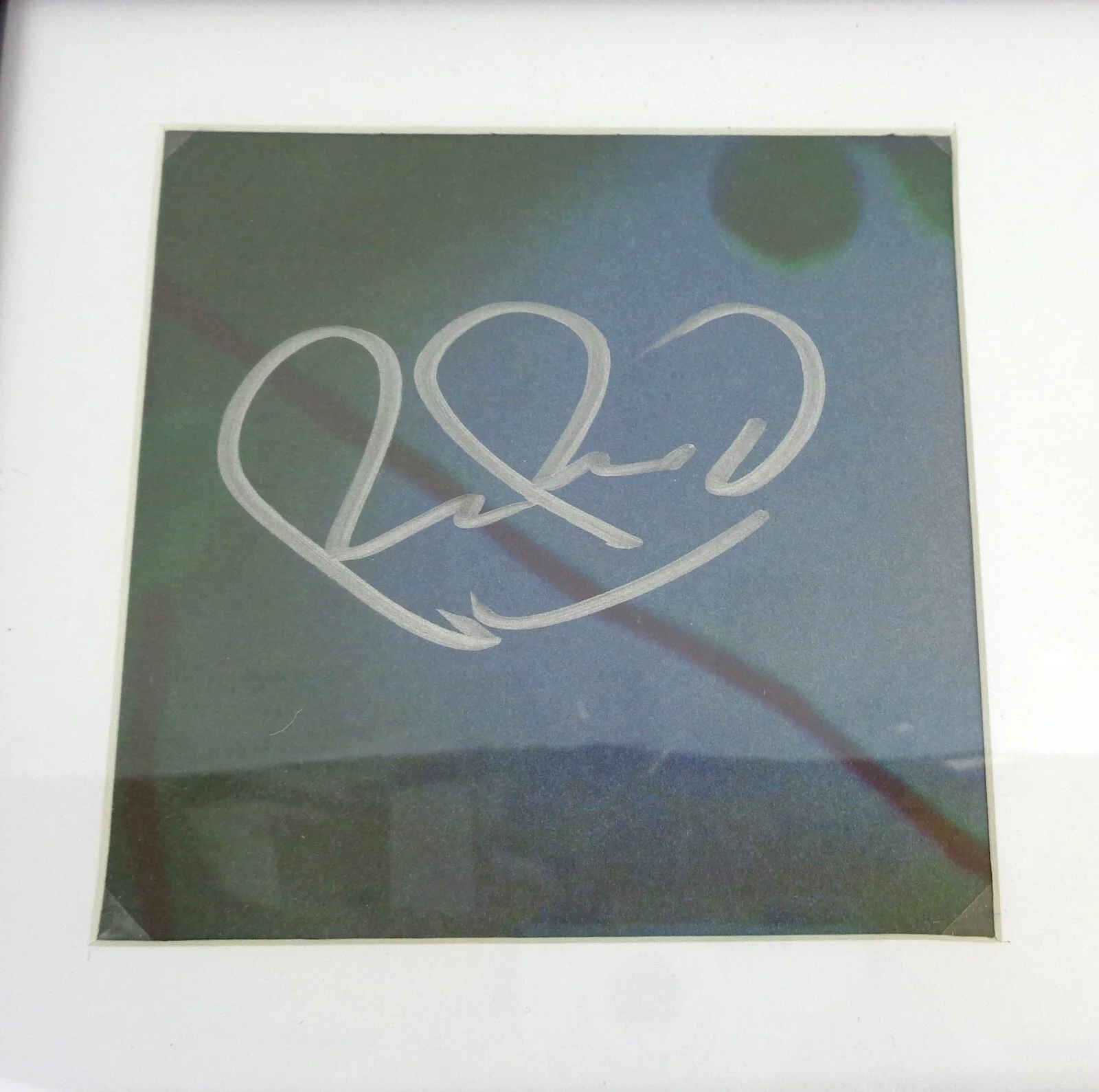 Robin Pecknold — Robin Pecknold Fleet Foxes Signed Autograph Shore CD Framed PSA/DNA COA, image 2