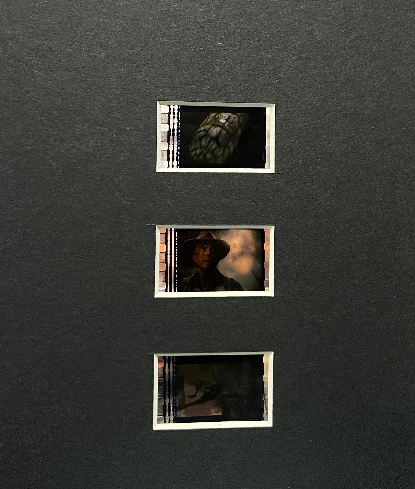 Jurassic Park 3 . 35mm Film Cell MOUNTED Display, image 3