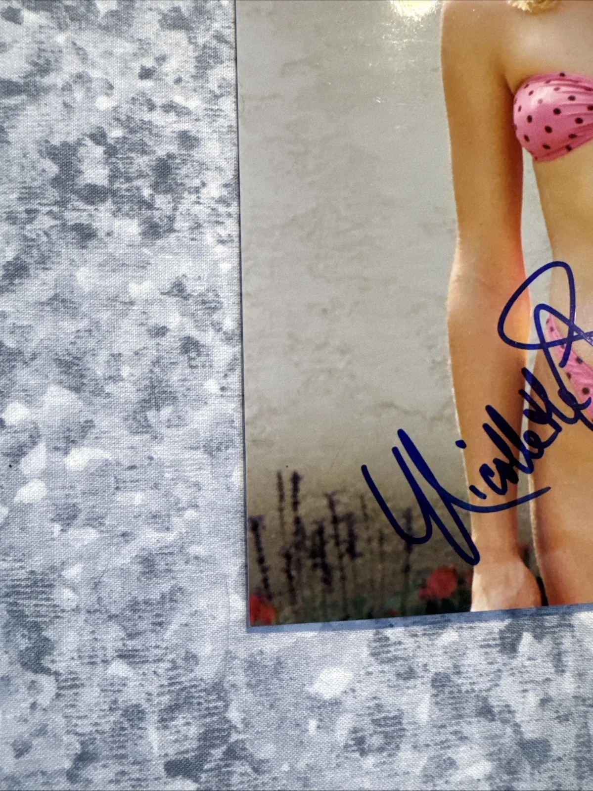 8 X 10 Photo Nicollette Sheridan Autograph Desperate Housewives Actress, изображение 3