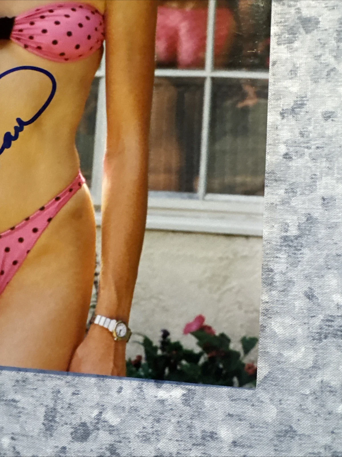 8 X 10 Photo Nicollette Sheridan Autograph Desperate Housewives Actress, изображение 4