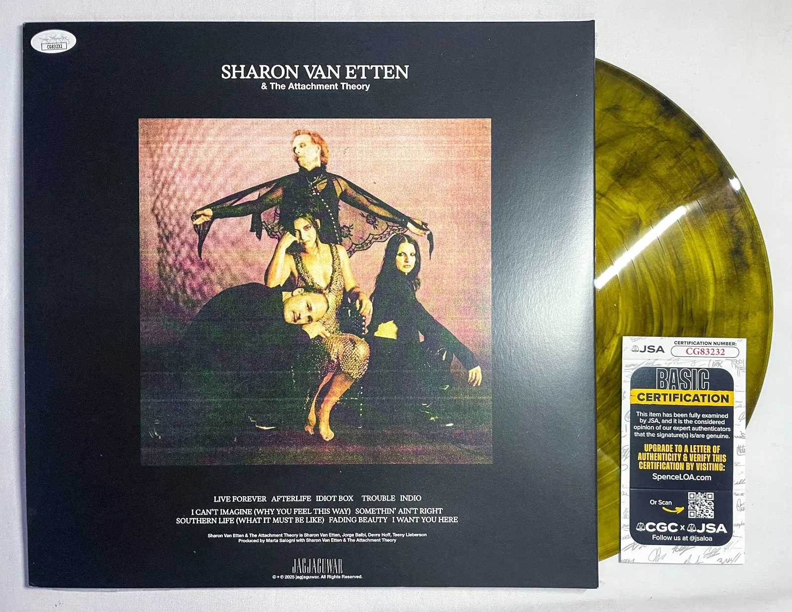 Sharon Van Etten The Attachment Theory FULL BAND SIGNED Vinyl Album Amber JSA, изображение 3