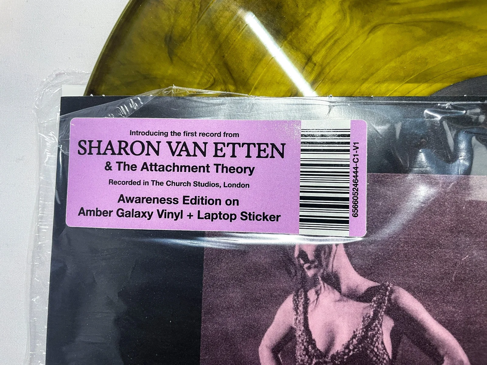 Sharon Van Etten The Attachment Theory FULL BAND SIGNED Vinyl Album Amber JSA, изображение 5