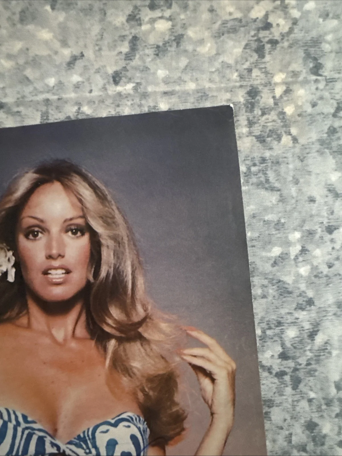 8 X 10 Photo Susan Anton Authentic Autograph Sexy Actress Goldengirl Beckett COA, изображение 5