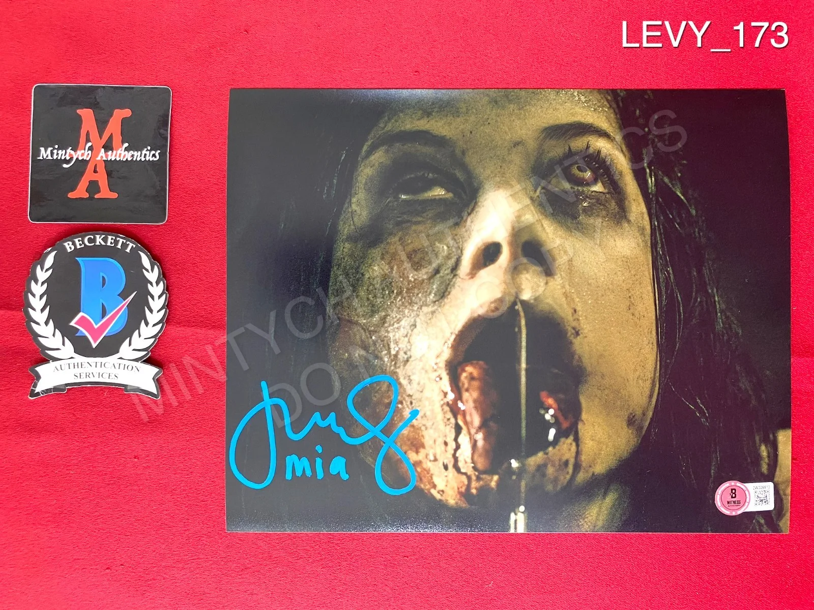 Jane Levy — Jane Levy autographed signed 8x10 photo The Evil Dead Mia Beckett COA