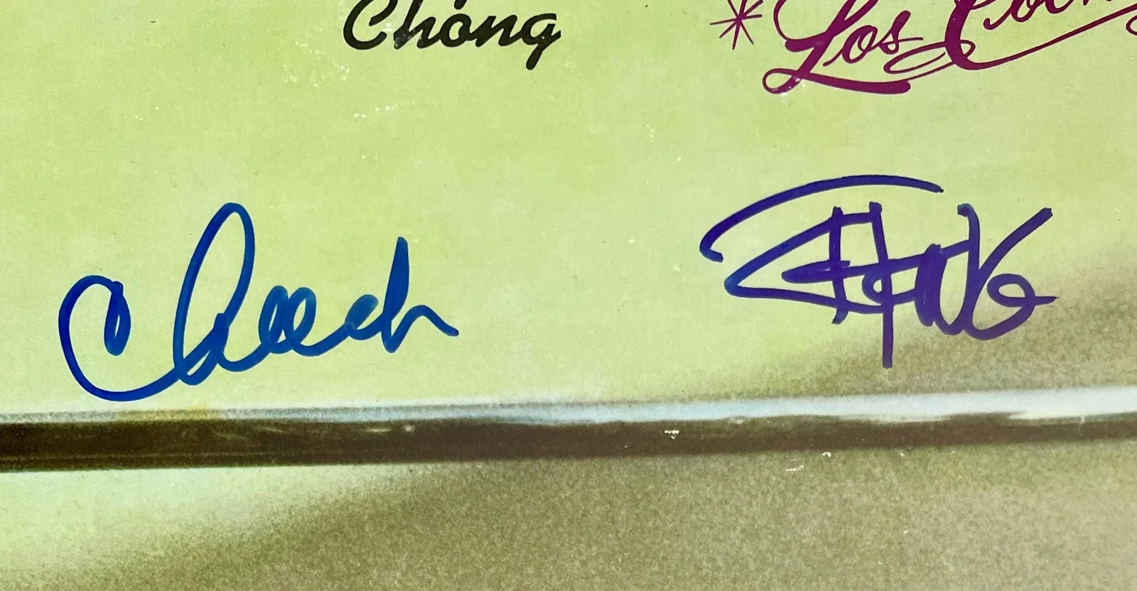 Cheech Marin, Tommy Chong — Cheech Marin & Tommy Chong Signed Los Cochinos Vinyl LP Framed Display JSA COA, изображение 3