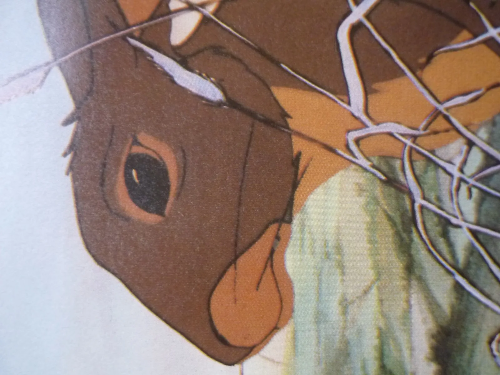 A4 poster framed Watership Down 1978 Richard Adams hazeol blackberry talk raid, image 3