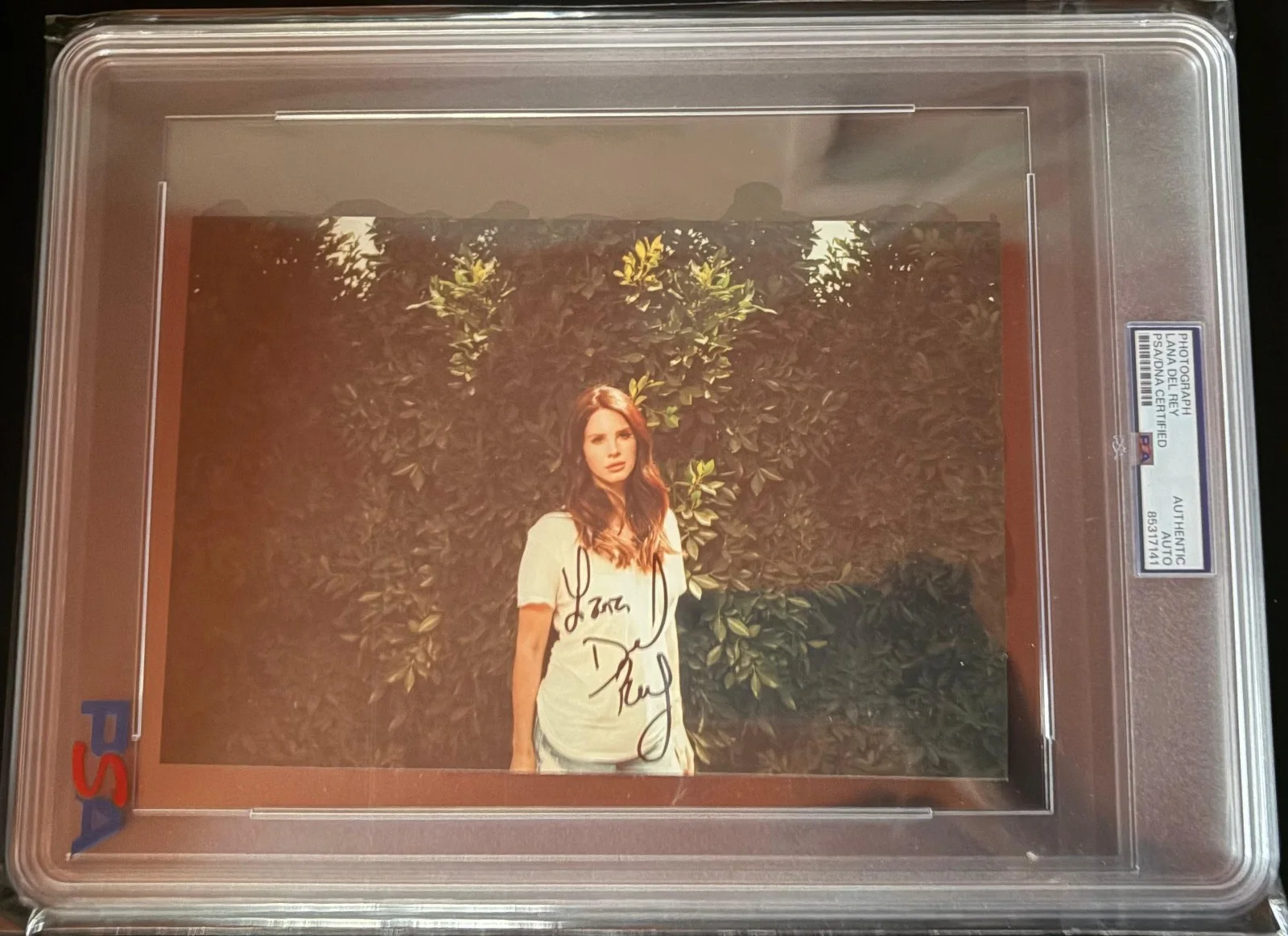 Lana Del Rey — LANA DEL REY SIGNED AUTOGRAPH 5X7 PHOTO PSA ENCAPSULATED RARE VINTAGE SEXY HOT E