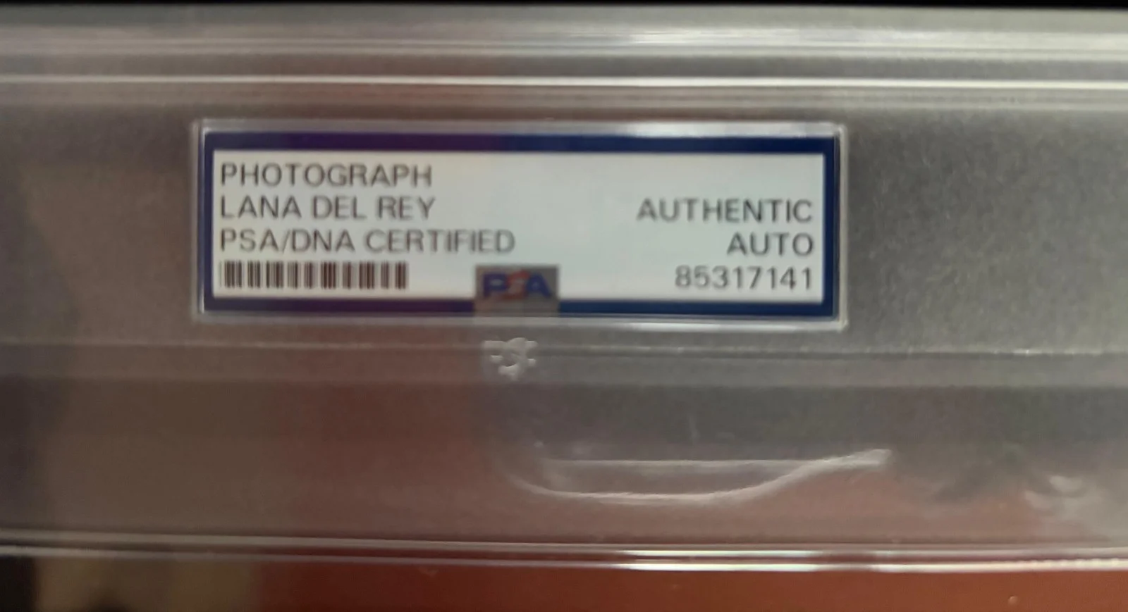 Lana Del Rey — LANA DEL REY SIGNED AUTOGRAPH 5X7 PHOTO PSA ENCAPSULATED RARE VINTAGE SEXY HOT E, изображение 3