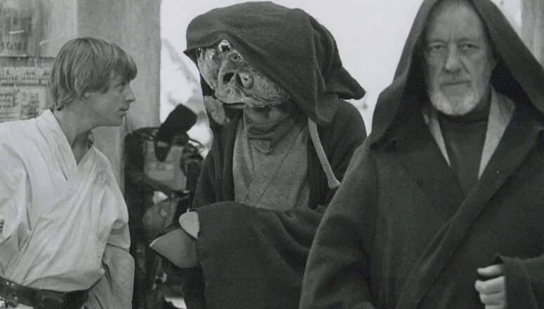 David Stone — "Star Wars" - 'DAVID STONE' as 'Wioslea' - Signed 8x10 B&W Photo w/COA, изображение 3