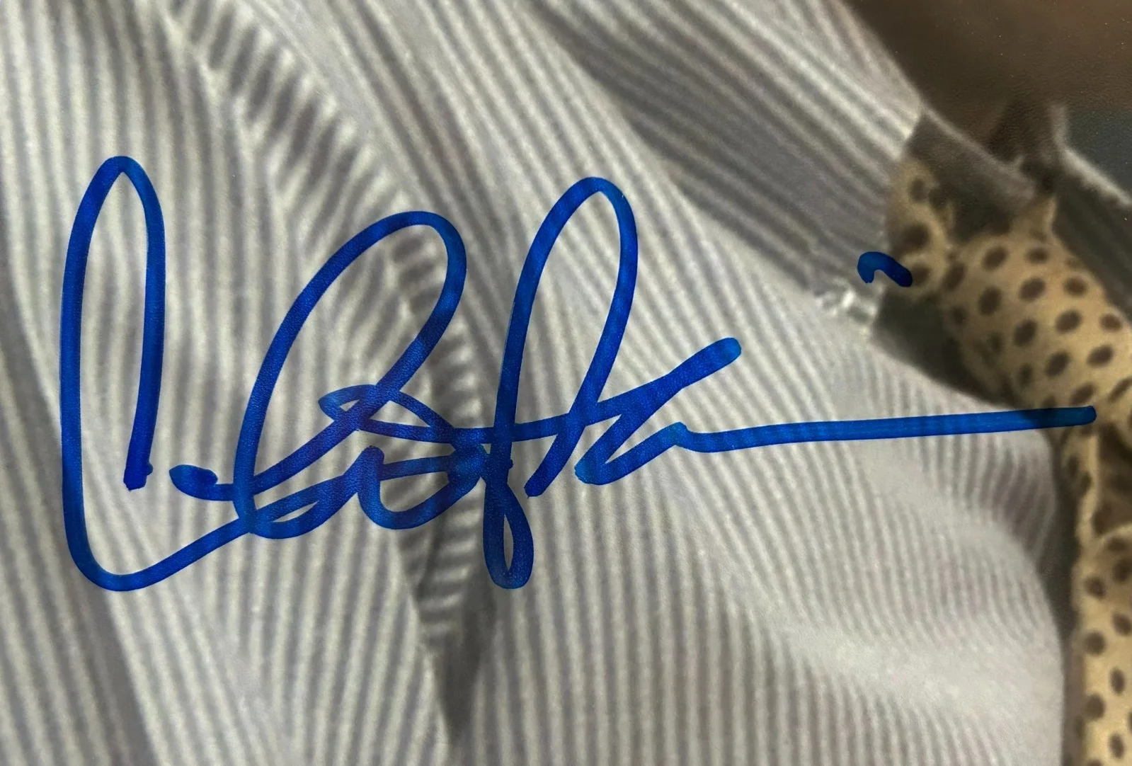 PSA/DNA CHARLIE SHEEN AUTOGRAPHED 11x14 PHOTO SIGNED AUTO MOVIE WALL STREET, изображение 3