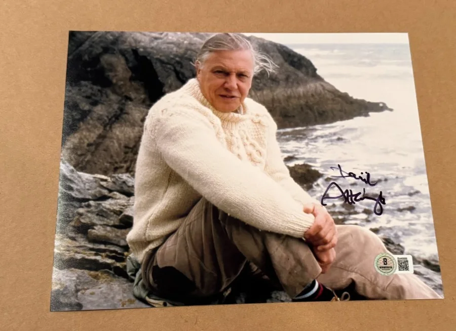 DAVID ATTENBOROUGH — DAVID ATTENBOROUGH SIGNED 8X10 PHOTO BECKETT CERTIFIED BBC NATURALIST #12