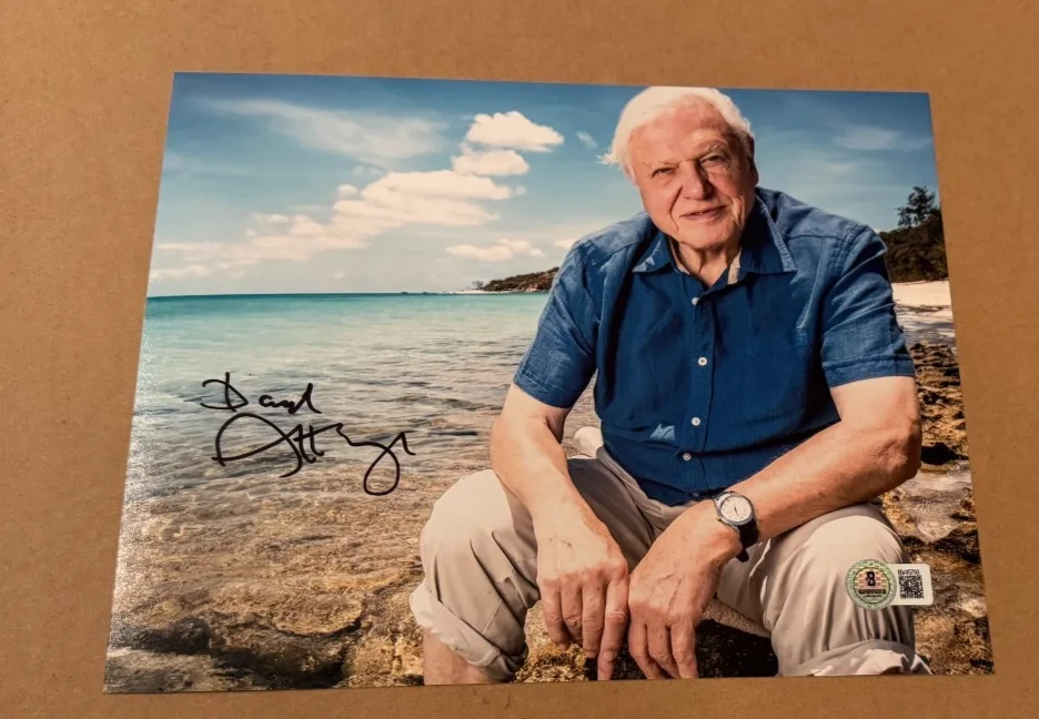 DAVID ATTENBOROUGH — DAVID ATTENBOROUGH SIGNED 8X10 PHOTO BECKETT CERTIFIED BBC NATURALIST #5