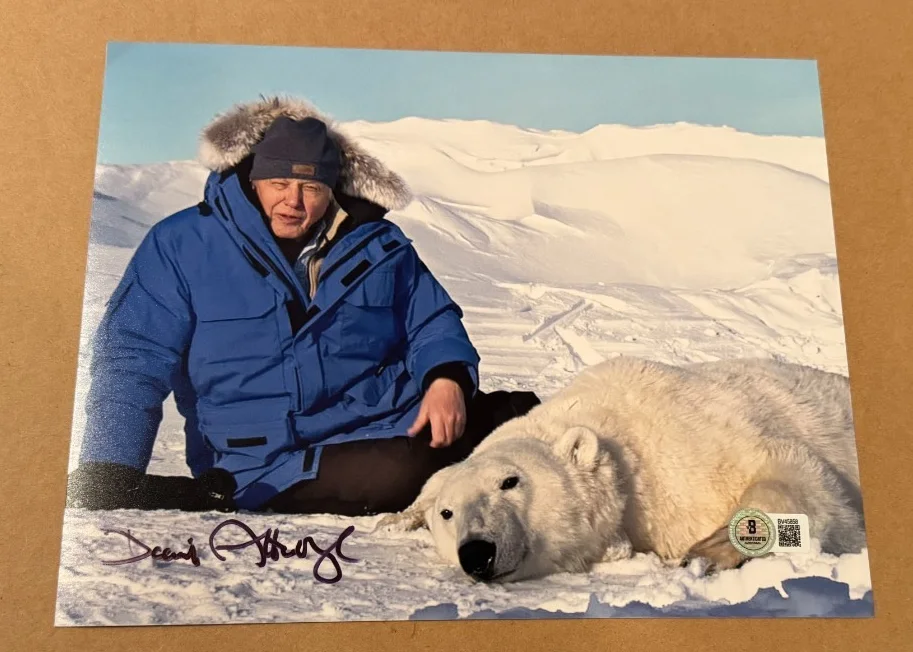 DAVID ATTENBOROUGH — DAVID ATTENBOROUGH SIGNED 8X10 PHOTO BECKETT CERTIFIED BBC NATURALIST #4