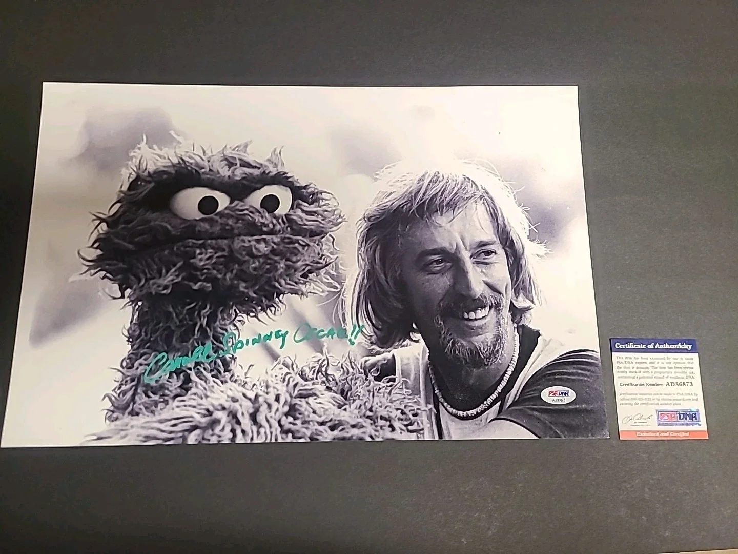 caroll Spinney — Caroll Spinney Signed Oscar Photo With PSA DNA 11”x17” Photo With Oscar Sesame