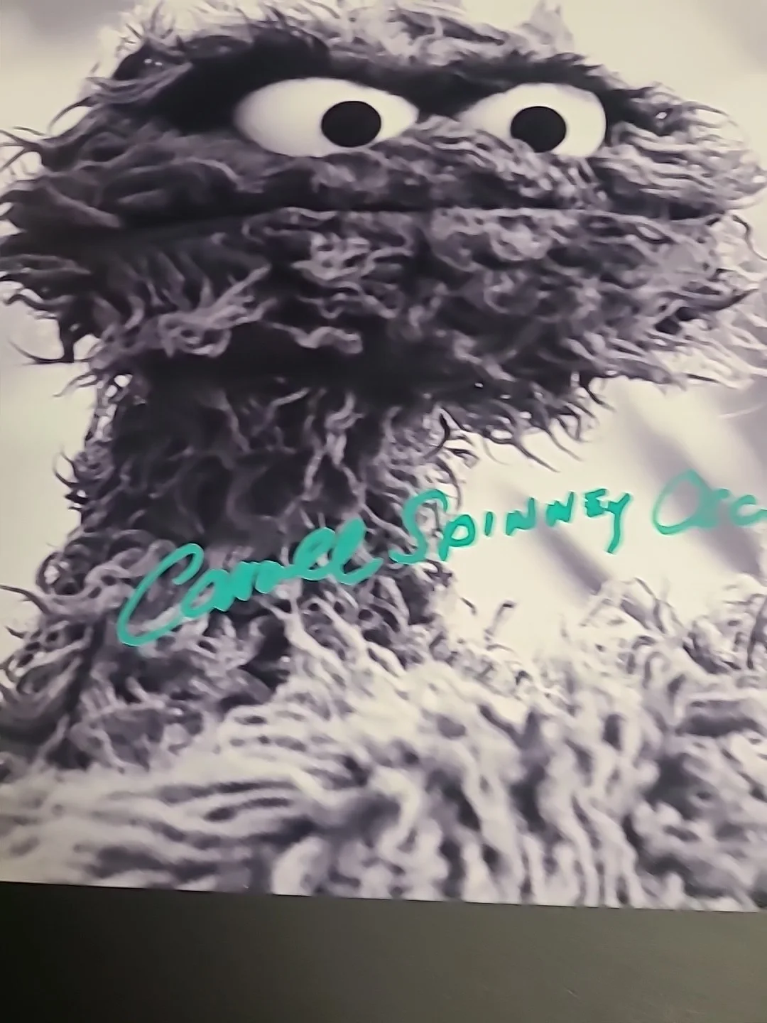 caroll Spinney — Caroll Spinney Signed Oscar Photo With PSA DNA 11”x17” Photo With Oscar Sesame, изображение 3