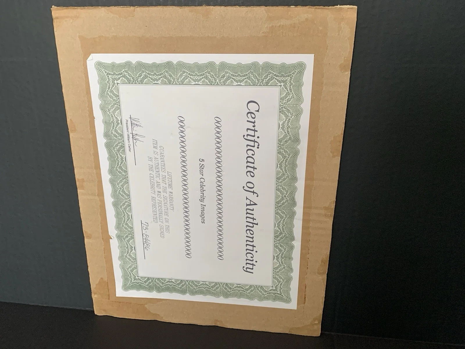Nicolette Sheridan — Signed Photograph Of Actress Nicolette Sheridan With Certificate Of Authenticity, image 3