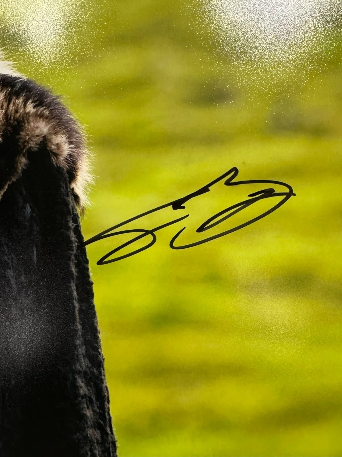 SEAN BEAN SIGNED 16X20 NED STARK PHOTO AUTO GAME OF THRONES BECKETT BAS COA, изображение 2