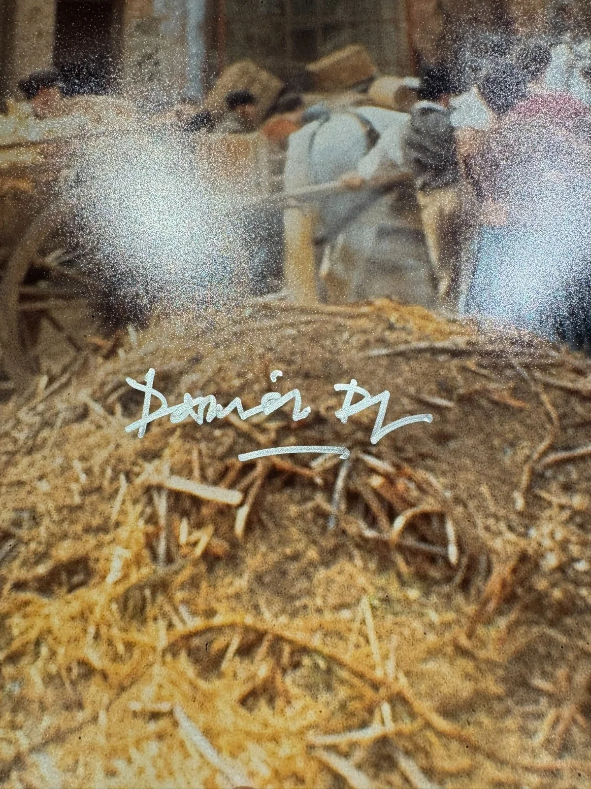 DANIEL DAY-LEWIS SIGNED 16X20 PHOTO AUTO BECKETT BAS COA, image 2