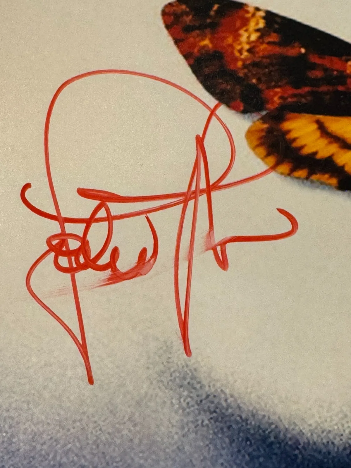 JODIE FOSTER SIGNED 11X17 PHOTO SILENCE OF THE LAMBS AUTO BECKETT BAS COA, изображение 4