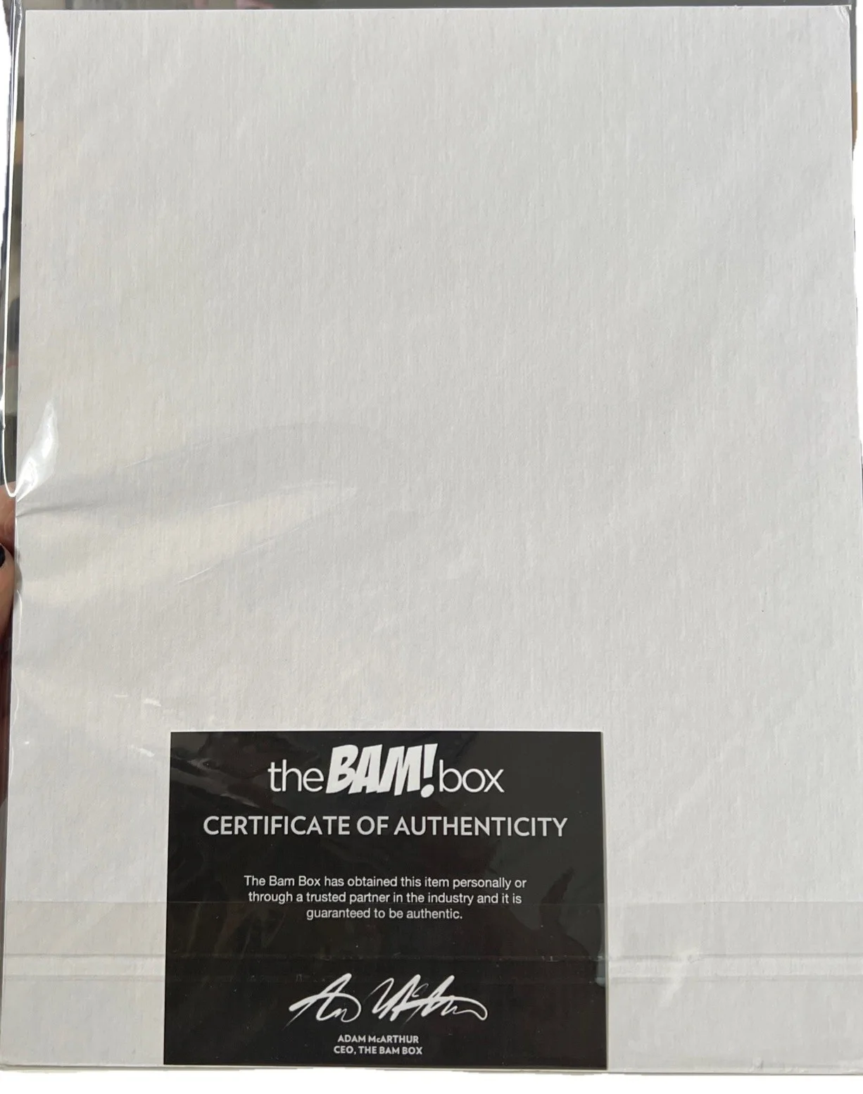 BAM! Box Exclusive Signed Karen Fukuhara Katana DC Suicide Squad Print W/ COA, image 2