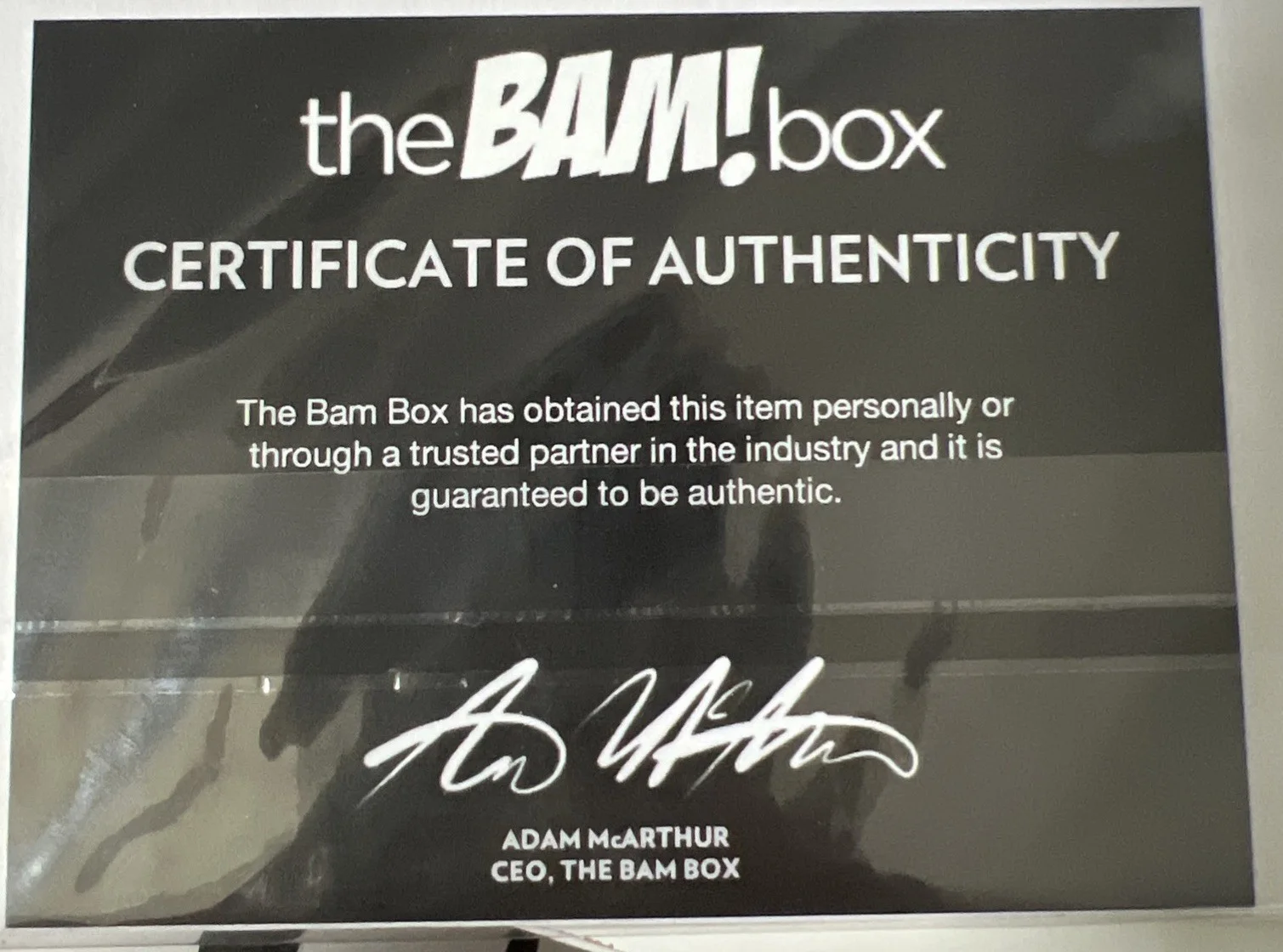 BAM! Box Exclusive Signed Karen Fukuhara Katana DC Suicide Squad Print W/ COA, image 3