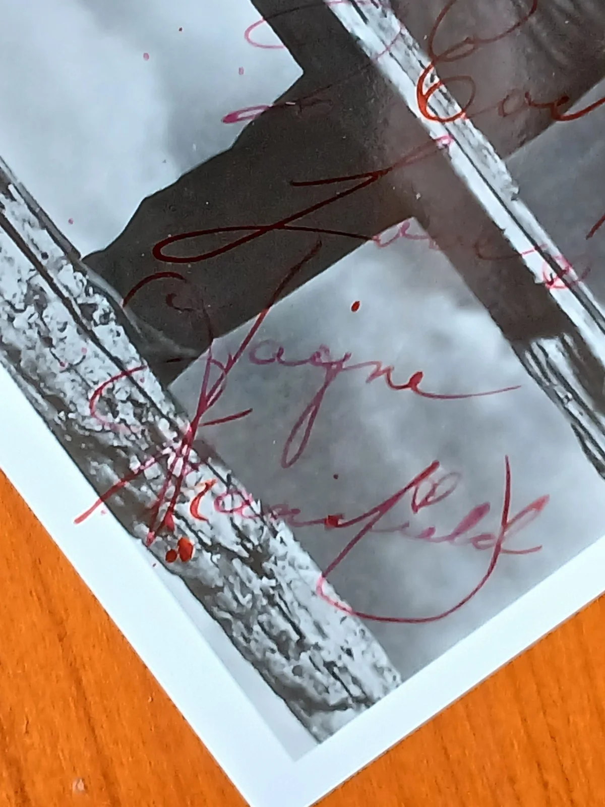 Jayne Mansfield — Jayne Mansfield Signed Autographed 10x8 Photo, image 4