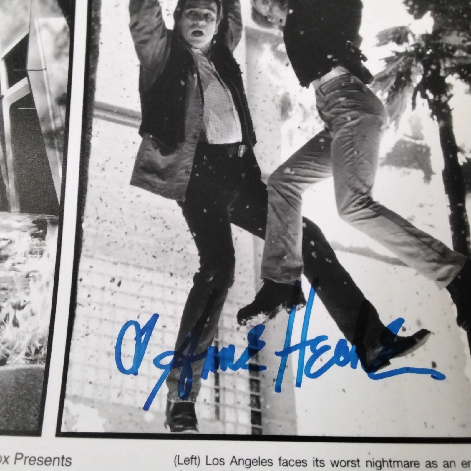 Anne Heche SIGNED 1997 Photo Movie TV Actress Volcano Donnie Brasco Ally McBeal, изображение 5
