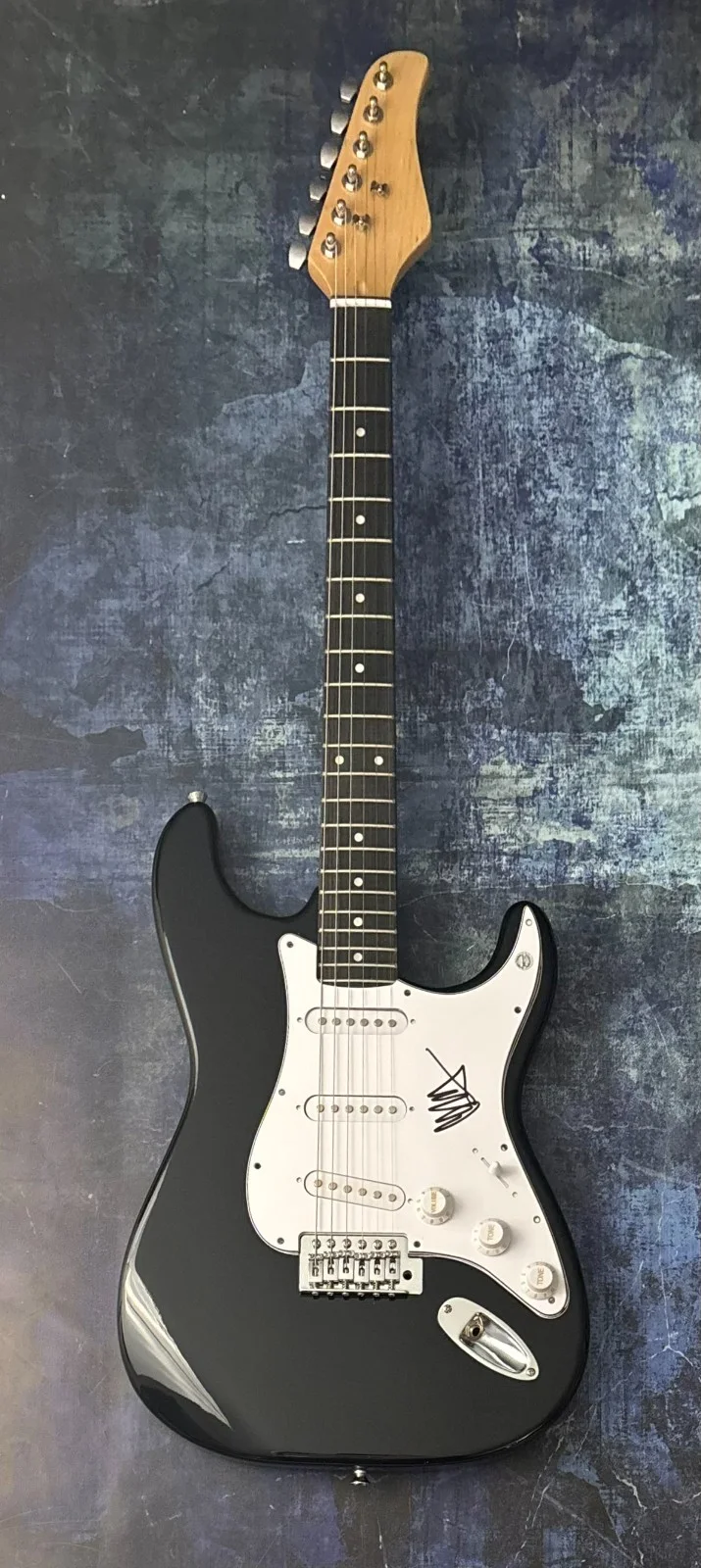 GFA Blink-182 & Alkaline Trio * MATT SKIBA * Signed Electric Guitar PROOF COA, image 4