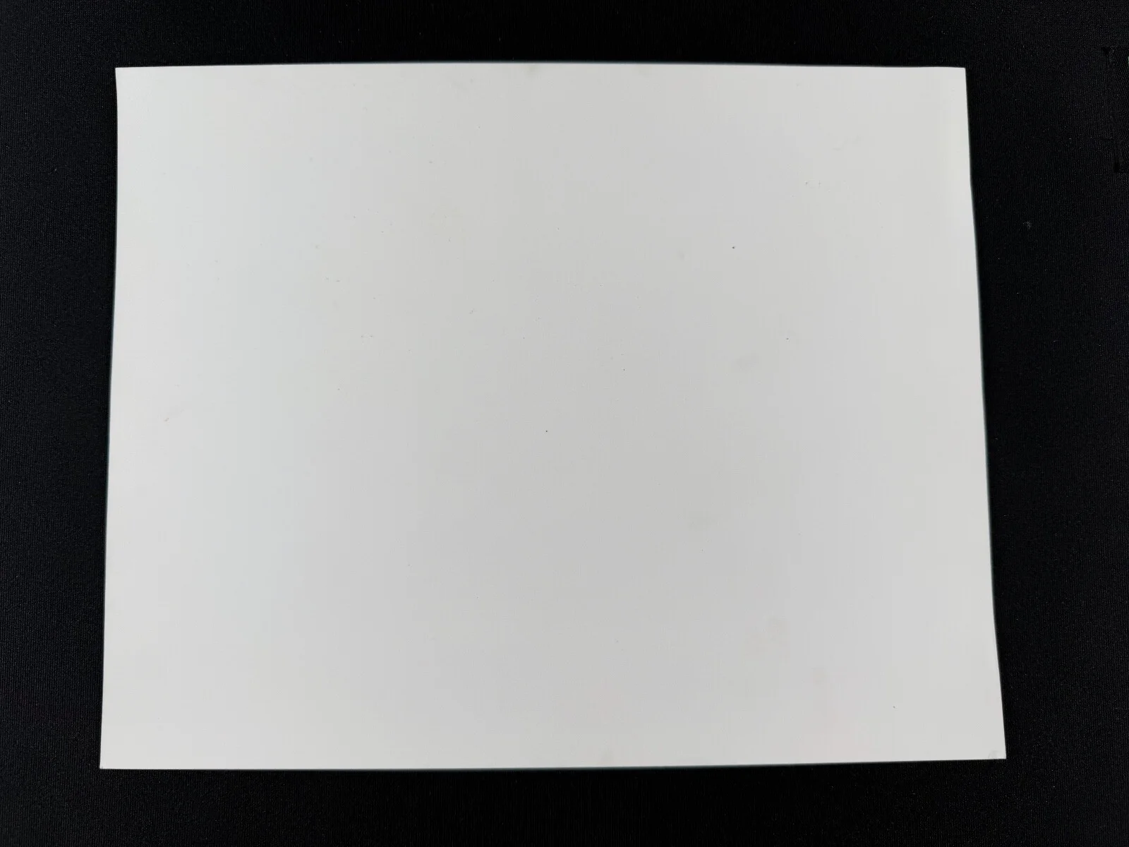 RARE A4 1991 Shadows & Fog B/W Press Scene Print (Woody Allen & Mia Farrow), изображение 2