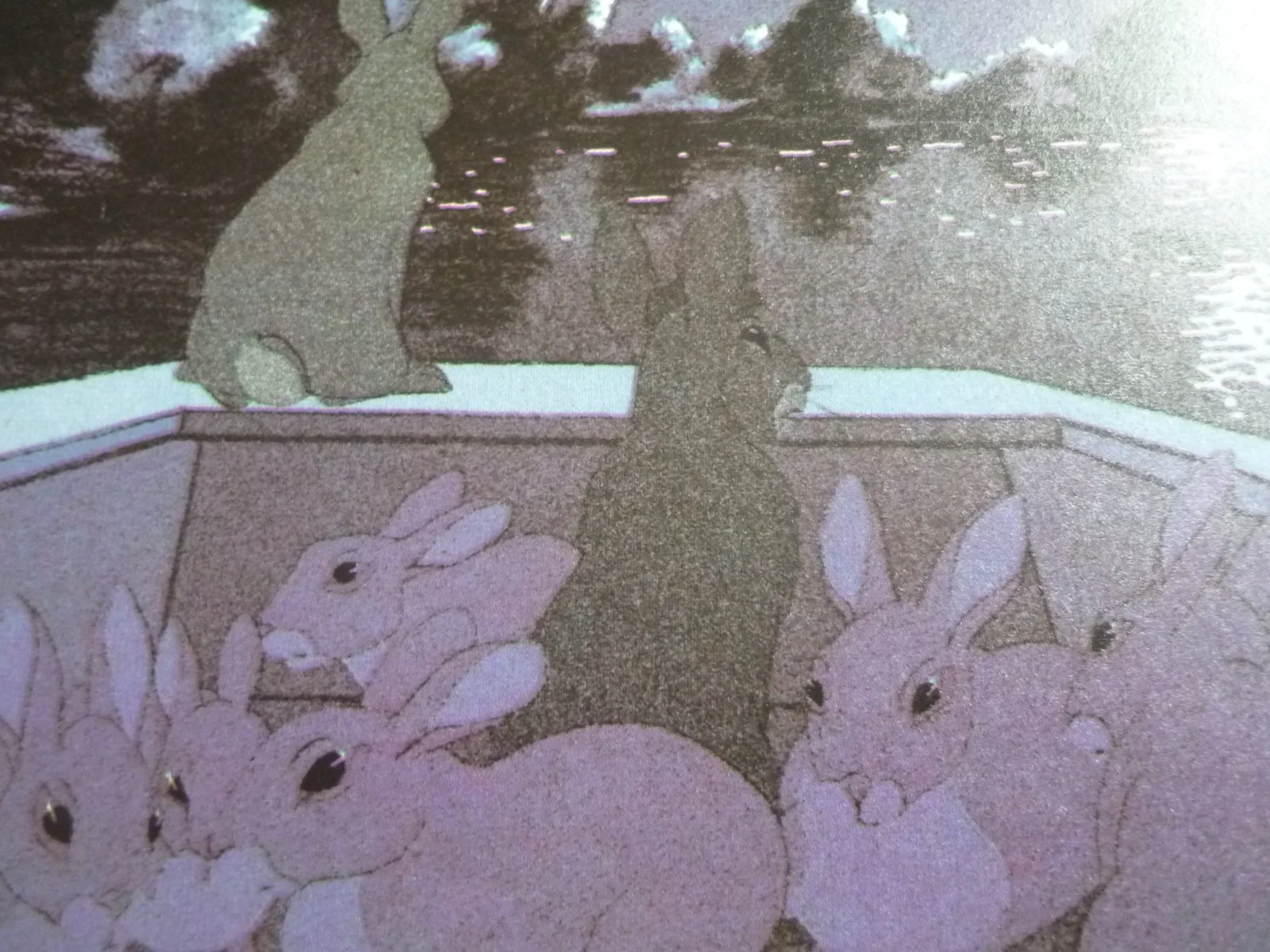 Watership Down framed a4 Richard Adams 1978 Movie scenes rabbits on night punt, image 2