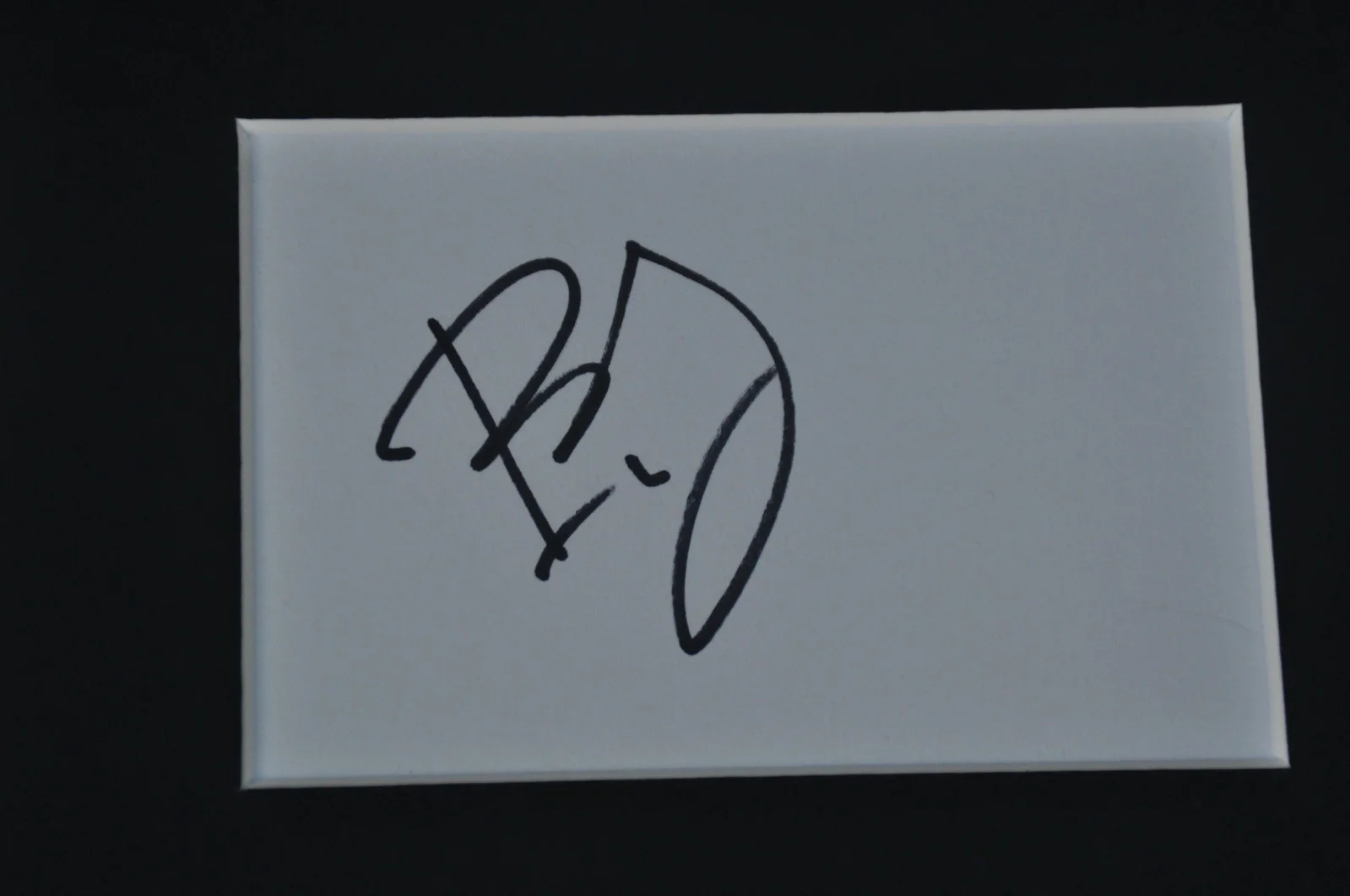 Another Simple Favor 16” x 12” Mounted Presentation Signed By Paul Feig W/COA, изображение 2