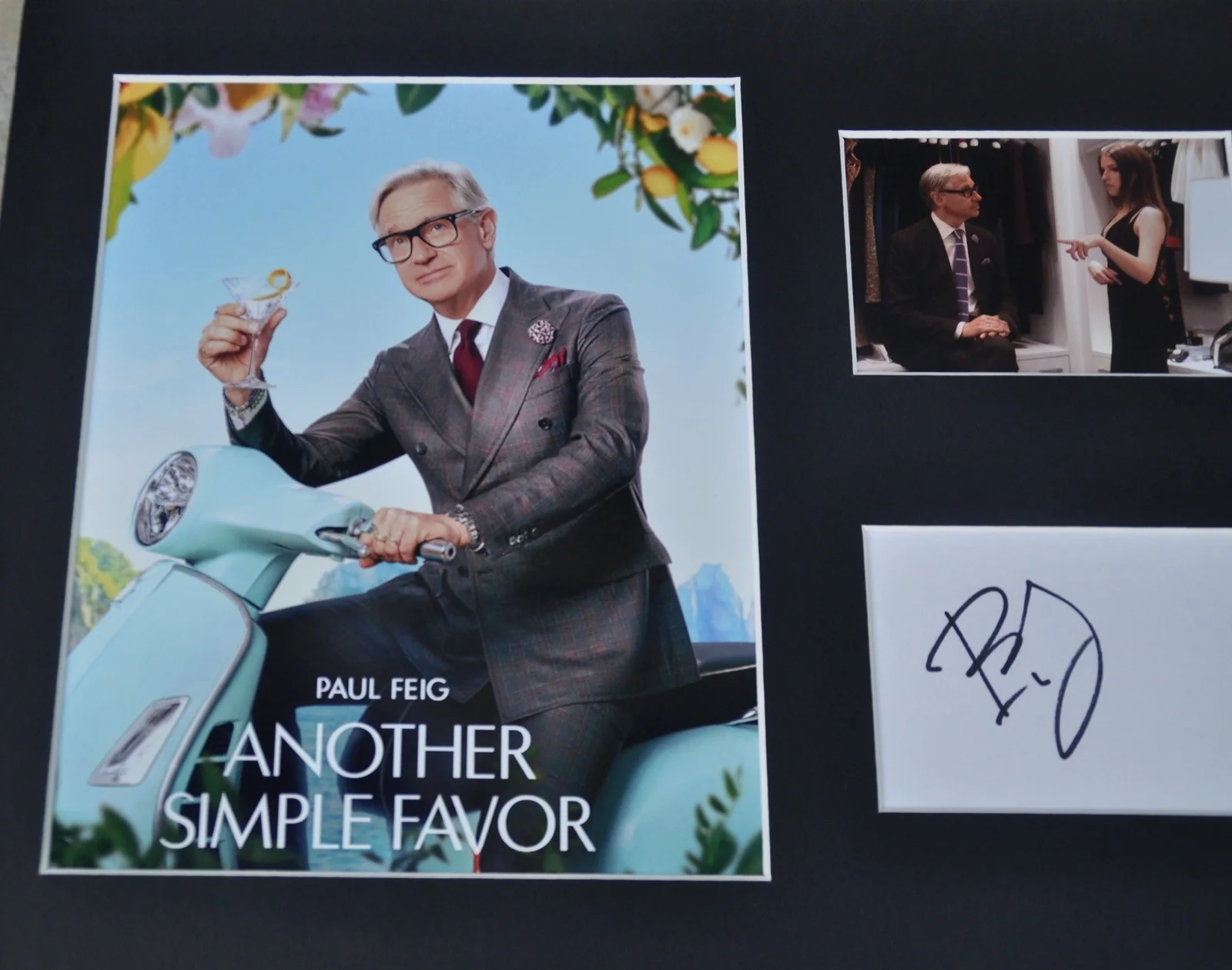 Another Simple Favor 16” x 12” Mounted Presentation Signed By Paul Feig W/COA, изображение 3