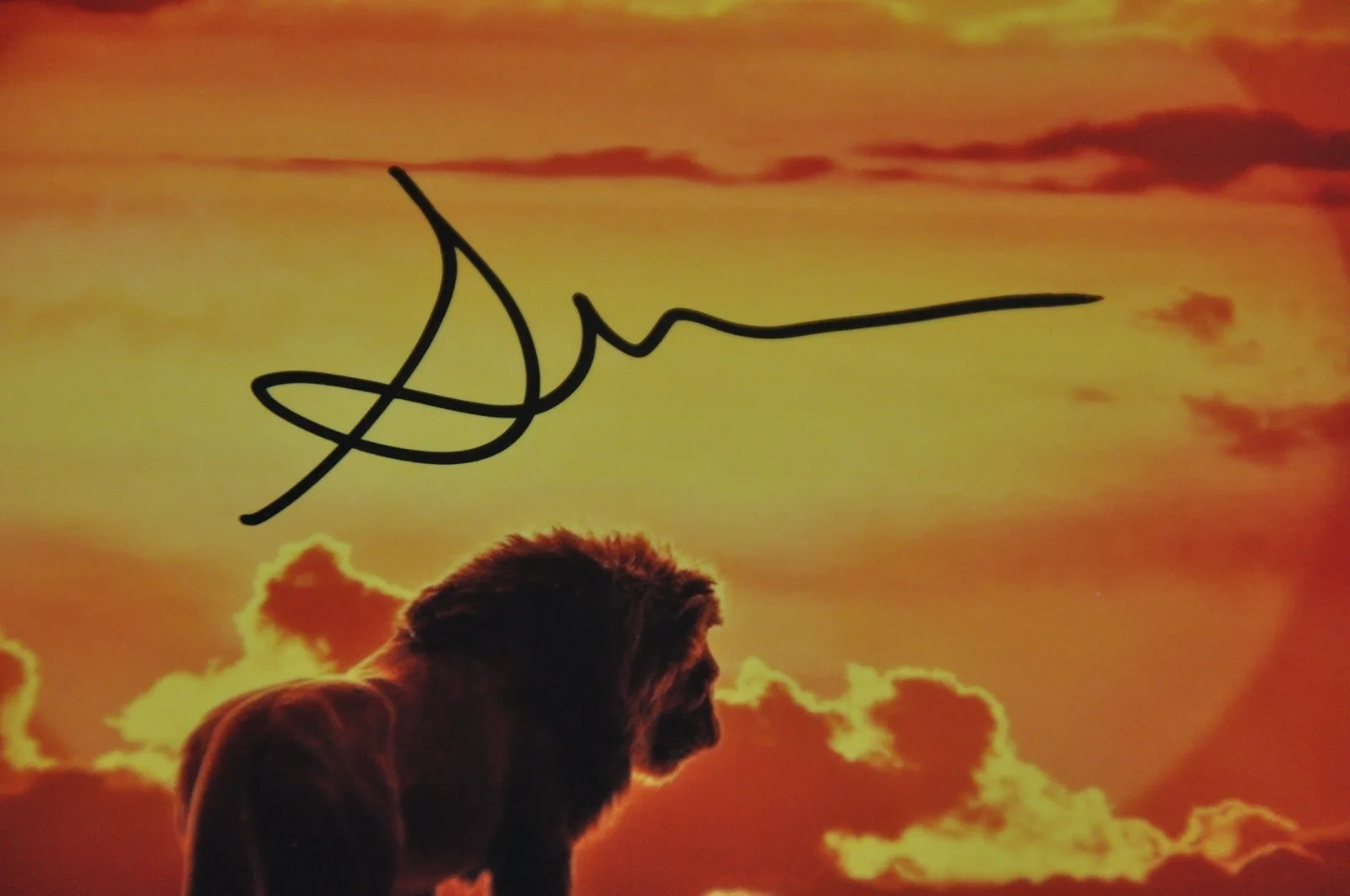 Disney The Lion King 12” x 8” Photo Mounted Signed By Seth Rogan With COA Pumbaa, изображение 2