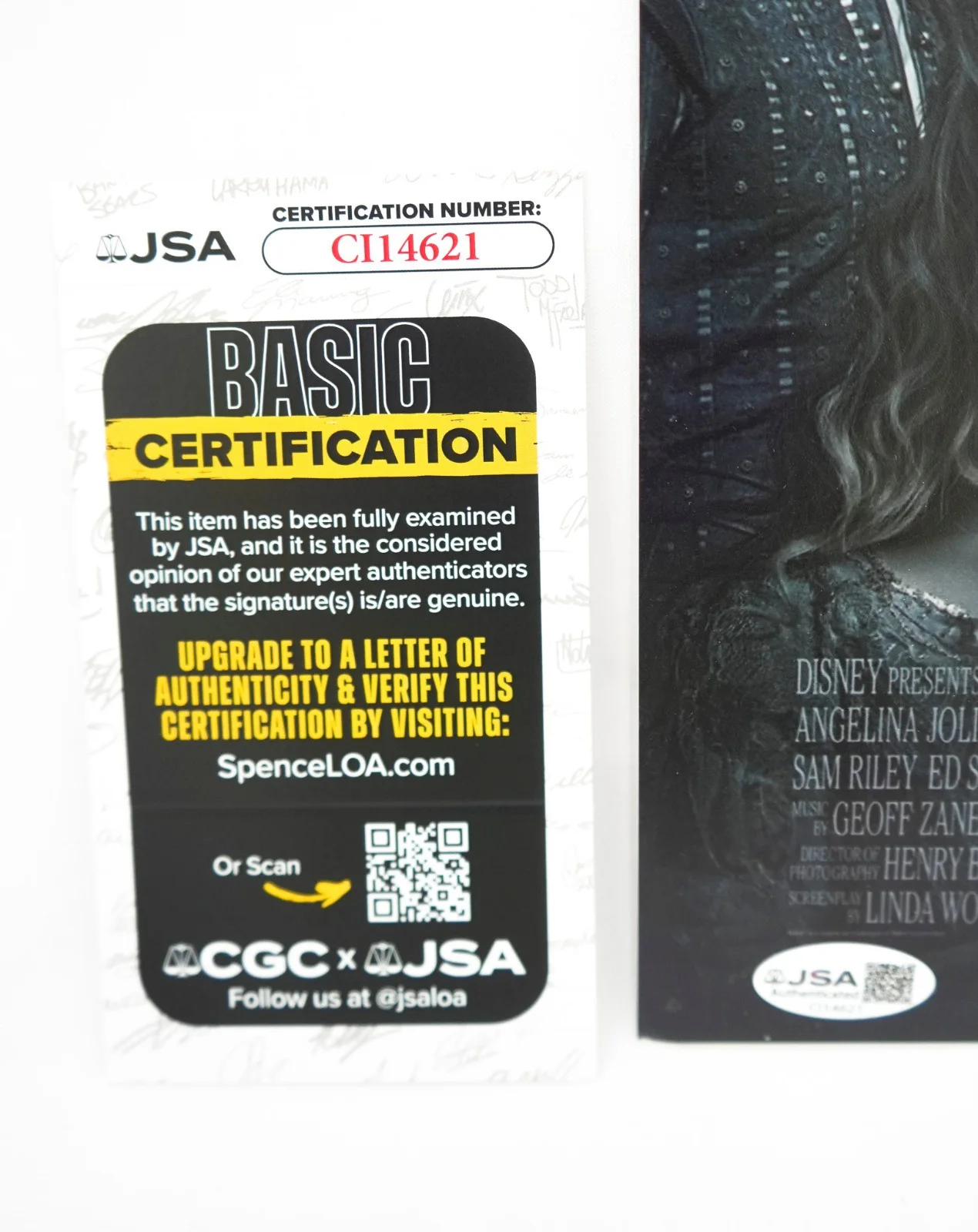 Angelina Jolie — Angelina Jolie Signed MALEFICENT MISTRESS OF EVIL 12x18 Photo Poster PROOF JSA, изображение 4