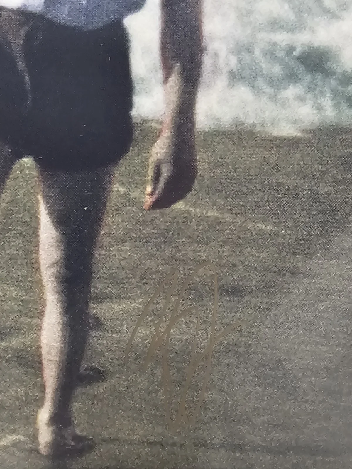 OF MONSTERS, MEN — Of Monsters and Men 5 Members signed MY HEAD IS AN ANIMAL Album Cover Vinyl, изображение 2