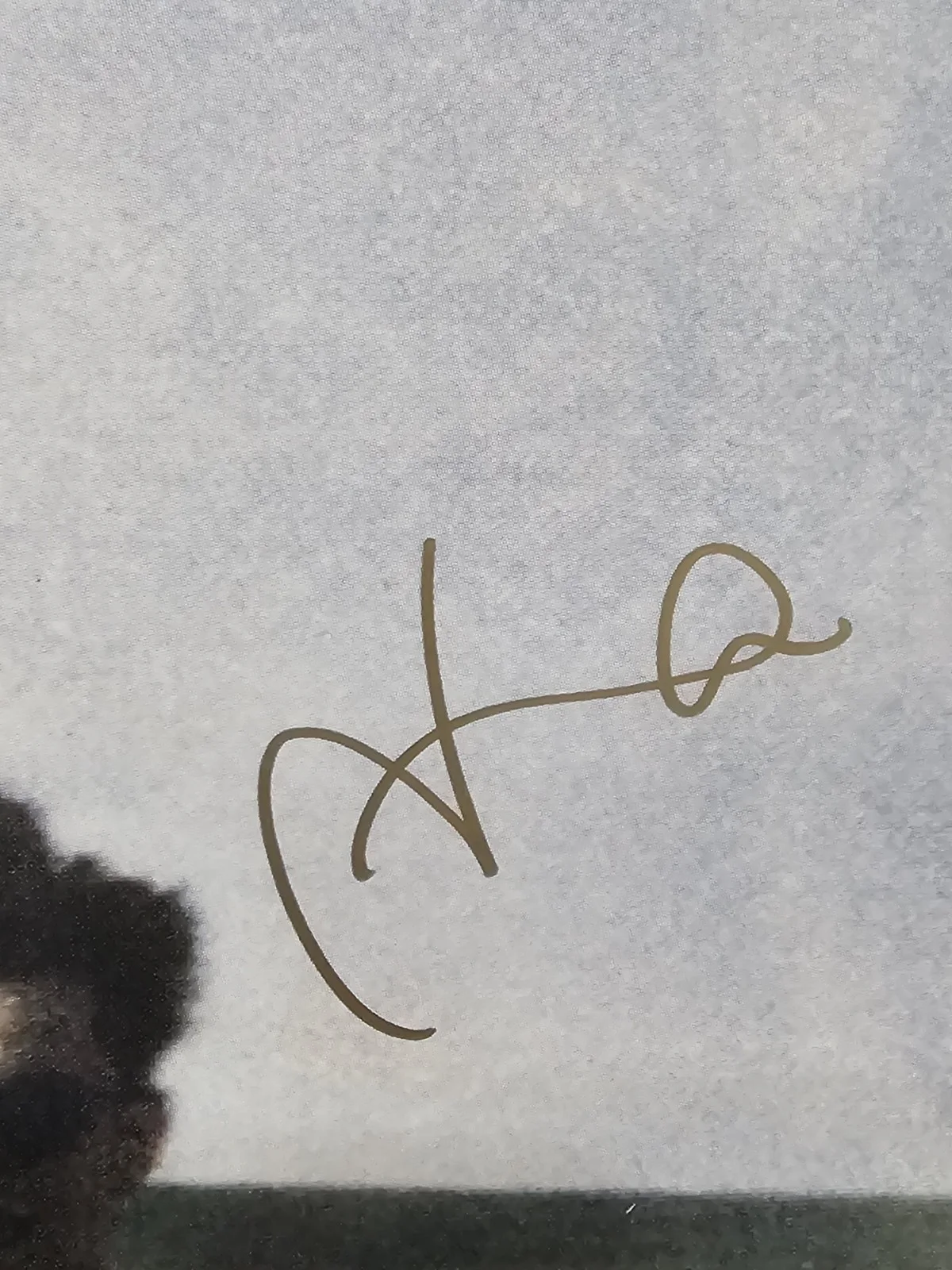 OF MONSTERS, MEN — Of Monsters and Men 5 Members signed MY HEAD IS AN ANIMAL Album Cover Vinyl, изображение 3