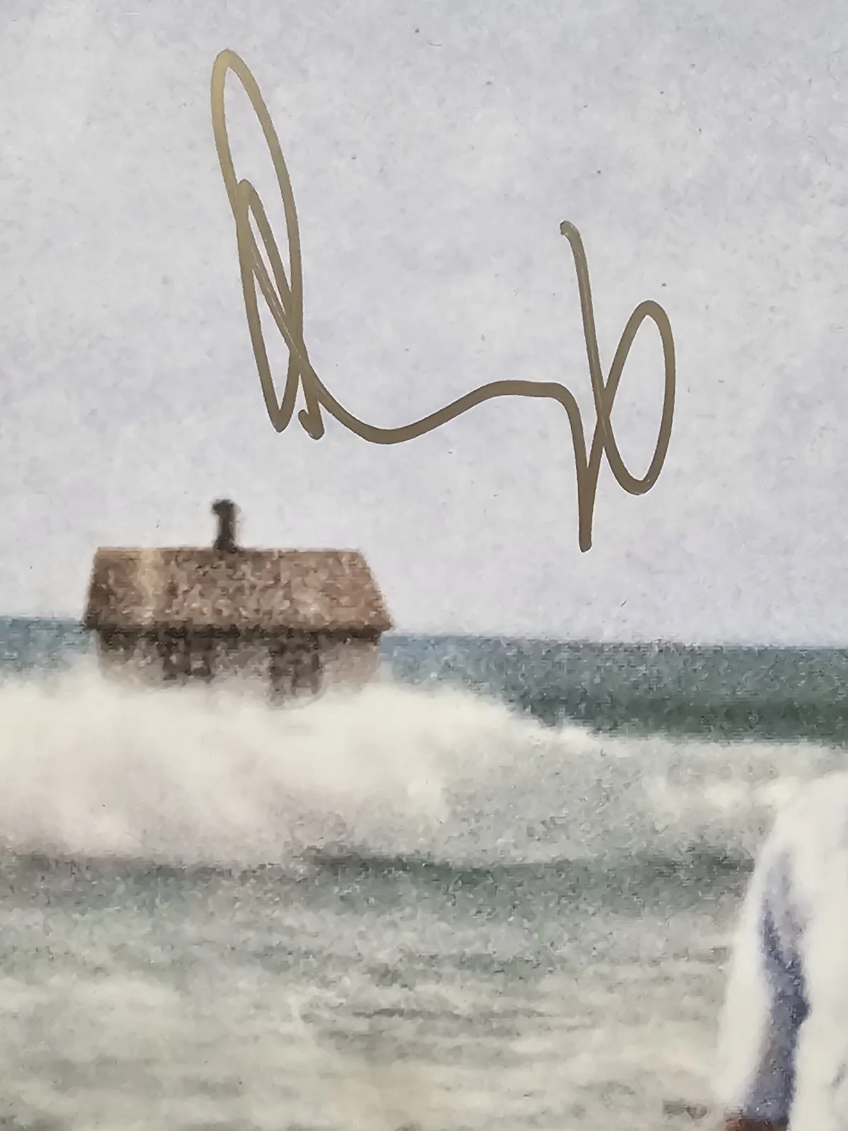 OF MONSTERS, MEN — Of Monsters and Men 5 Members signed MY HEAD IS AN ANIMAL Album Cover Vinyl, изображение 4