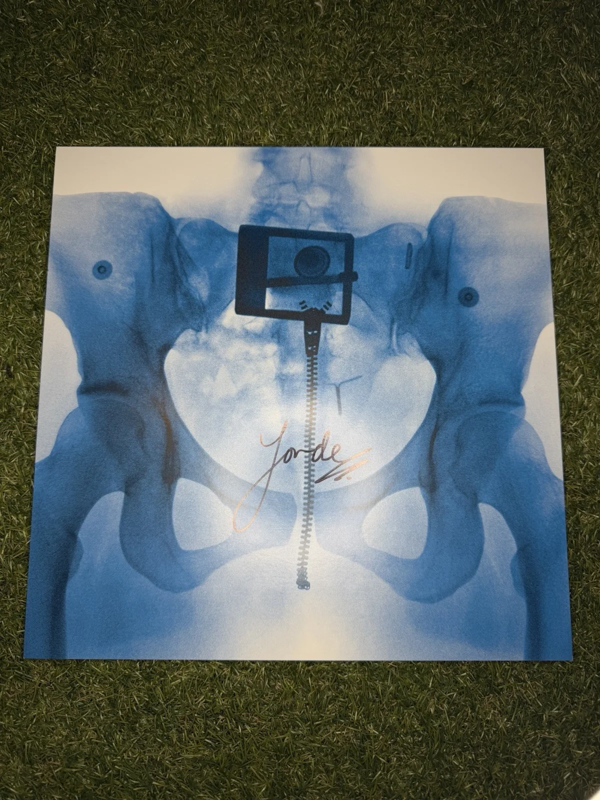 SIGNED Lorde - Virgin Vinyl LP - Unplayed, image 2