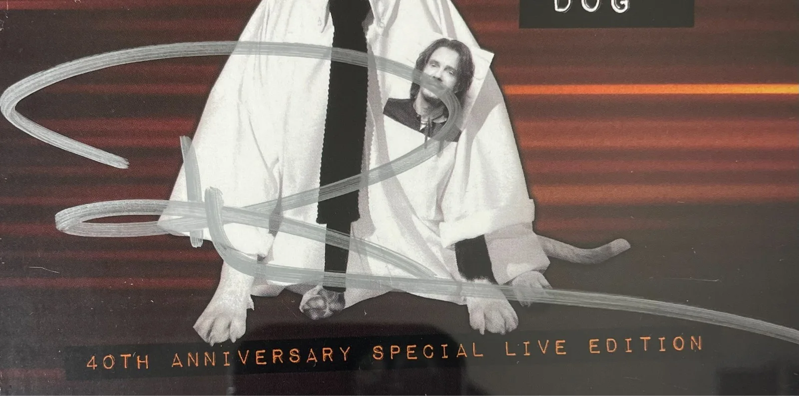 Rick Springfield — Rick Springfield Signed Working Class Dog Live CD Cover Framed Display JSA COA, image 2