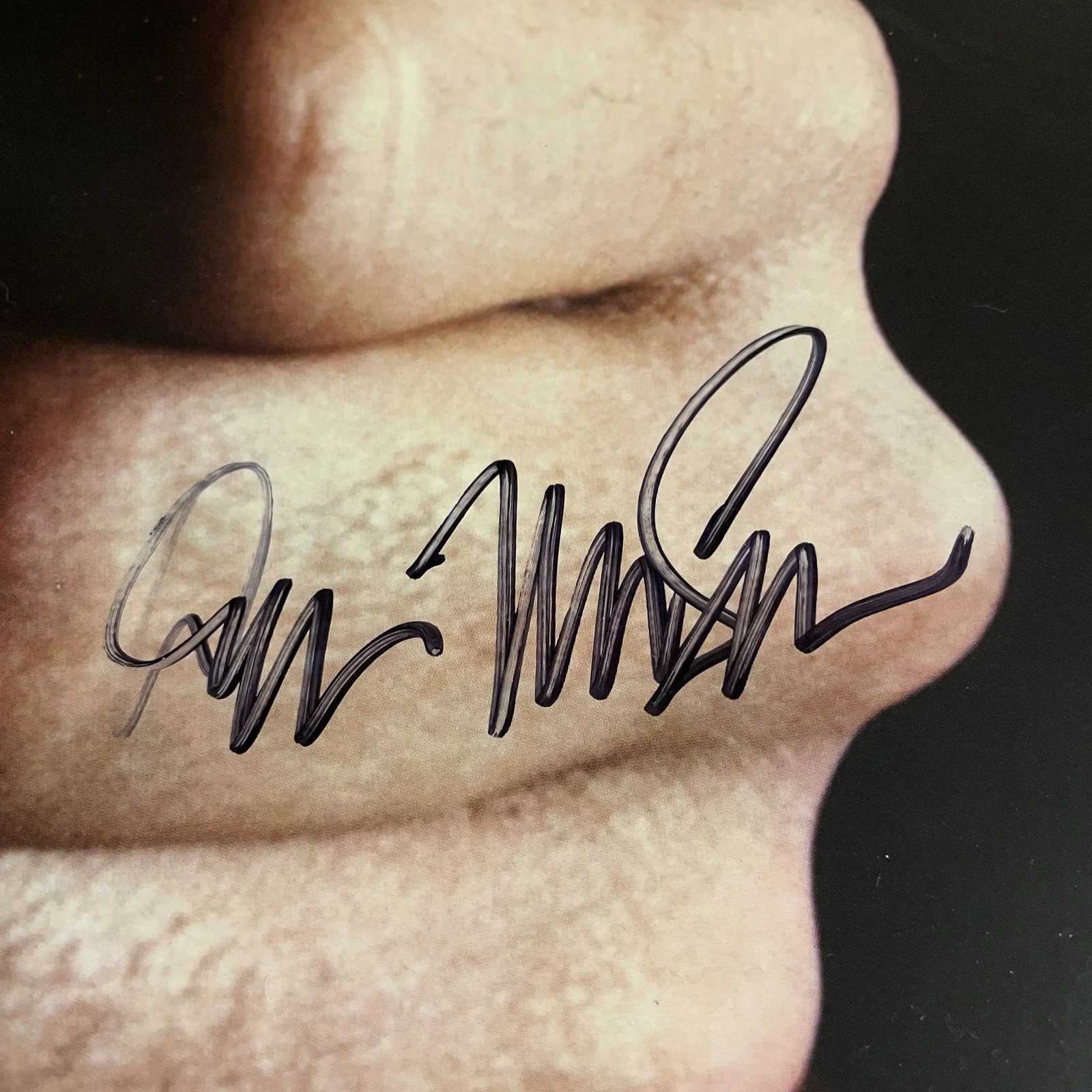 Don McLean Signed American Pie Vinyl JSA COA Music Album Cover, изображение 2