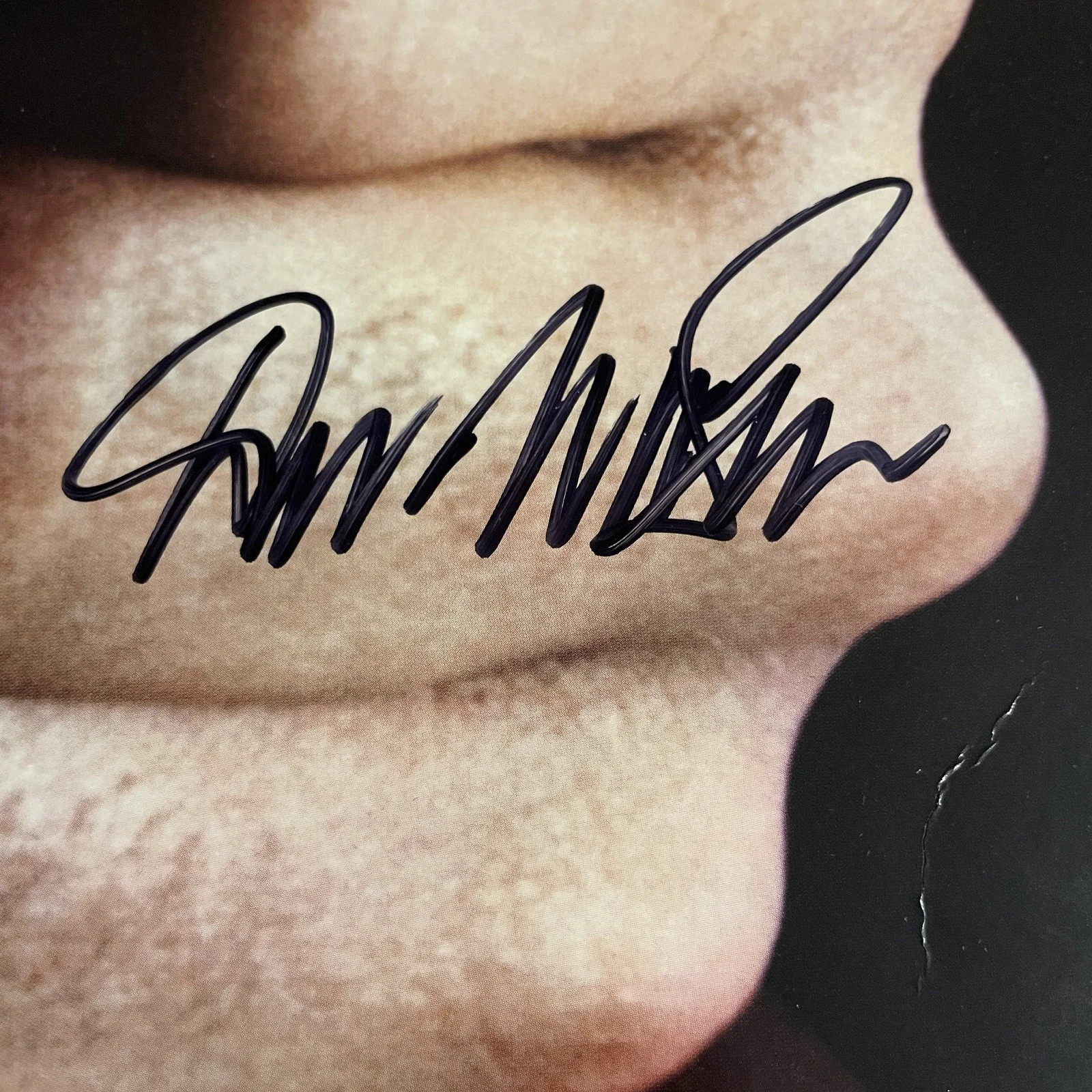 Don McLean Signed American Pie Vinyl JSA COA Music Album Cover, изображение 2