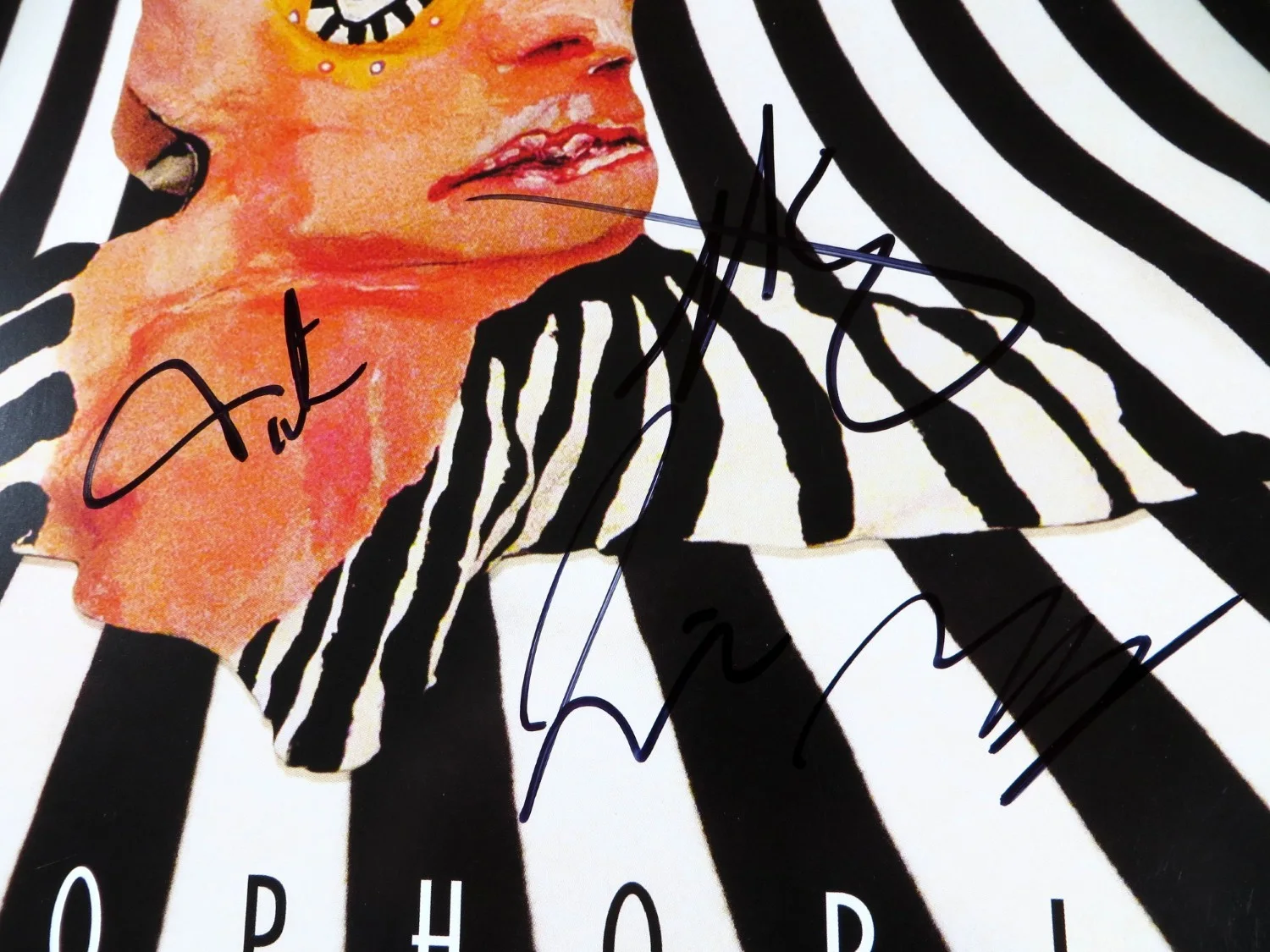 Cage the Elephant Signed Autographed Album Cover Shultz Tichenor +2 BAS AE48402, изображение 2