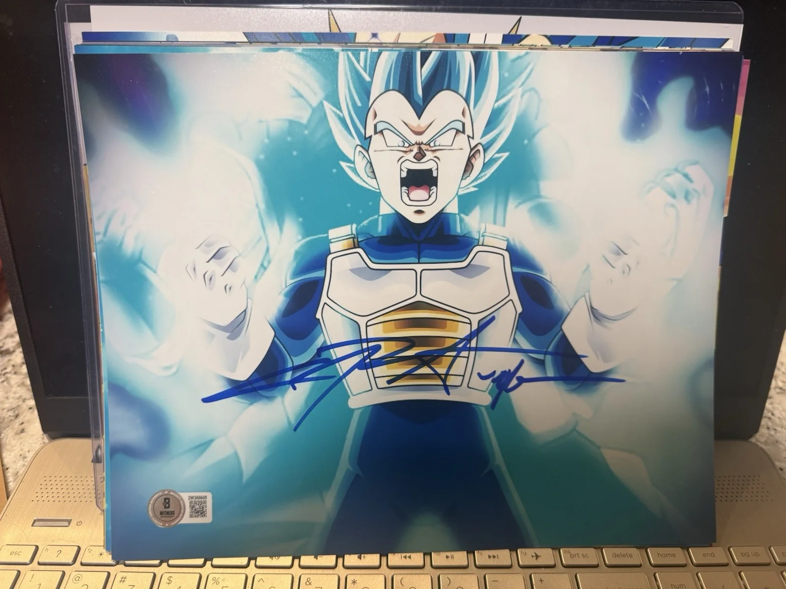 CHRIS SABAT — CHRIS SABAT SIGNED VEGETA 8X10 PHOTO DRAGON BALL Z DBZ ANIME AUTOGRAPH BECKETT D