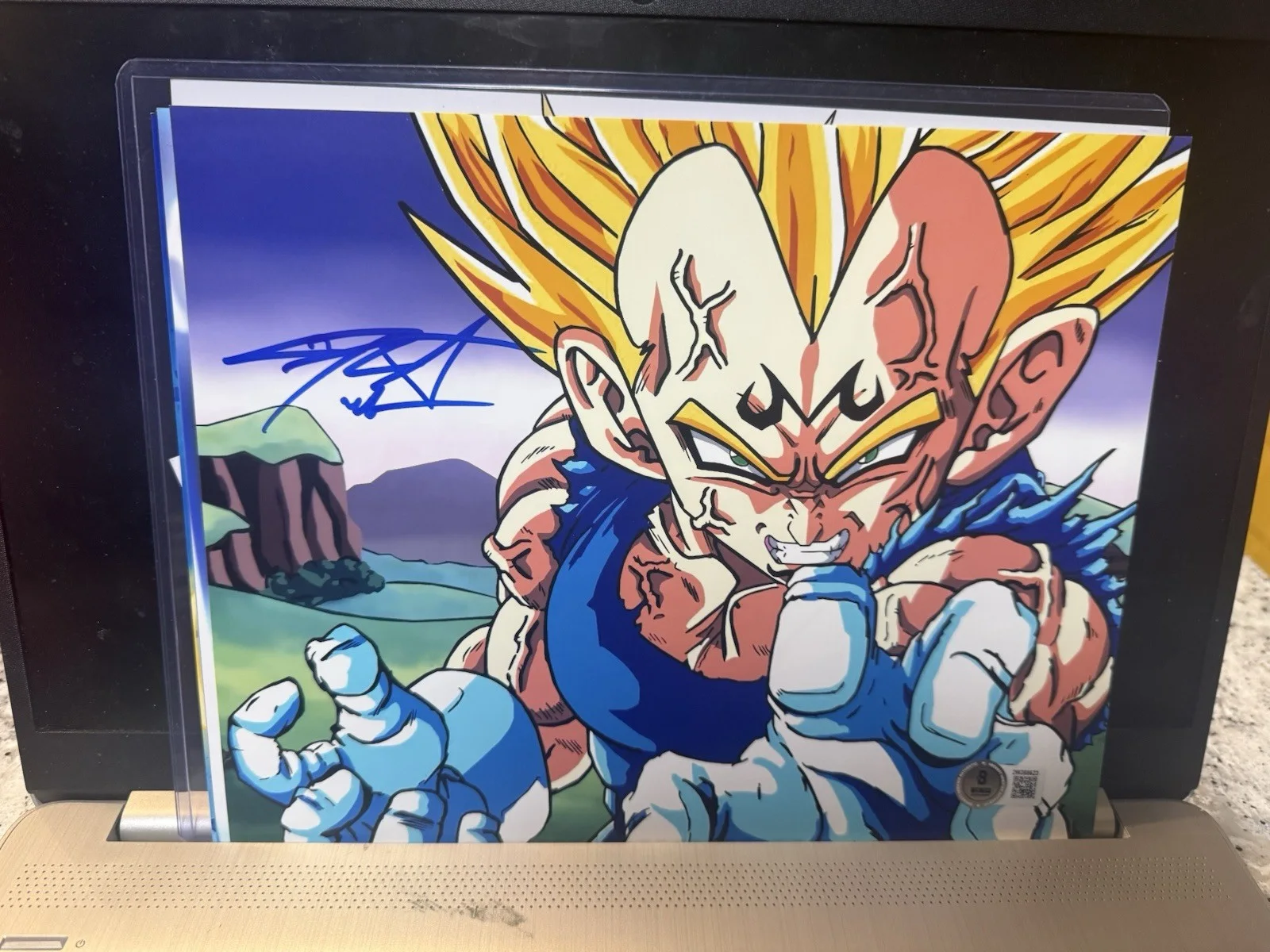 CHRIS SABAT — CHRIS SABAT SIGNED VEGETA 8X10 PHOTO DRAGON BALL Z DBZ ANIME AUTOGRAPH BECKETT P