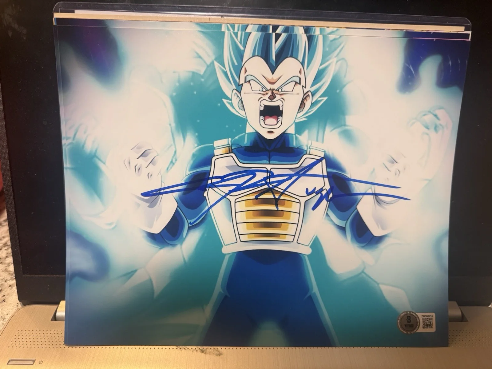 CHRIS SABAT — CHRIS SABAT SIGNED VEGETA 8X10 PHOTO DRAGON BALL Z DBZ ANIME AUTOGRAPH BECKETT A