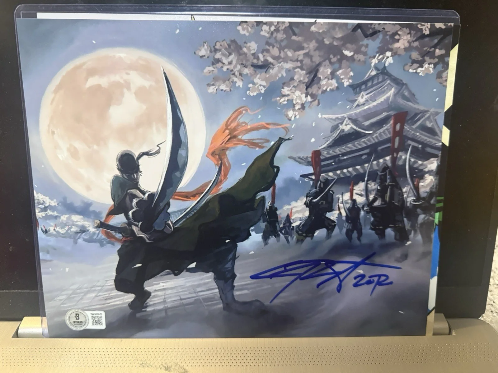 CHRIS SABAT — CHRIS SABAT SIGNED RORONOA ZORO 8X10 PHOTO ONE PIECE AUTOGRAPH BECKETT D10