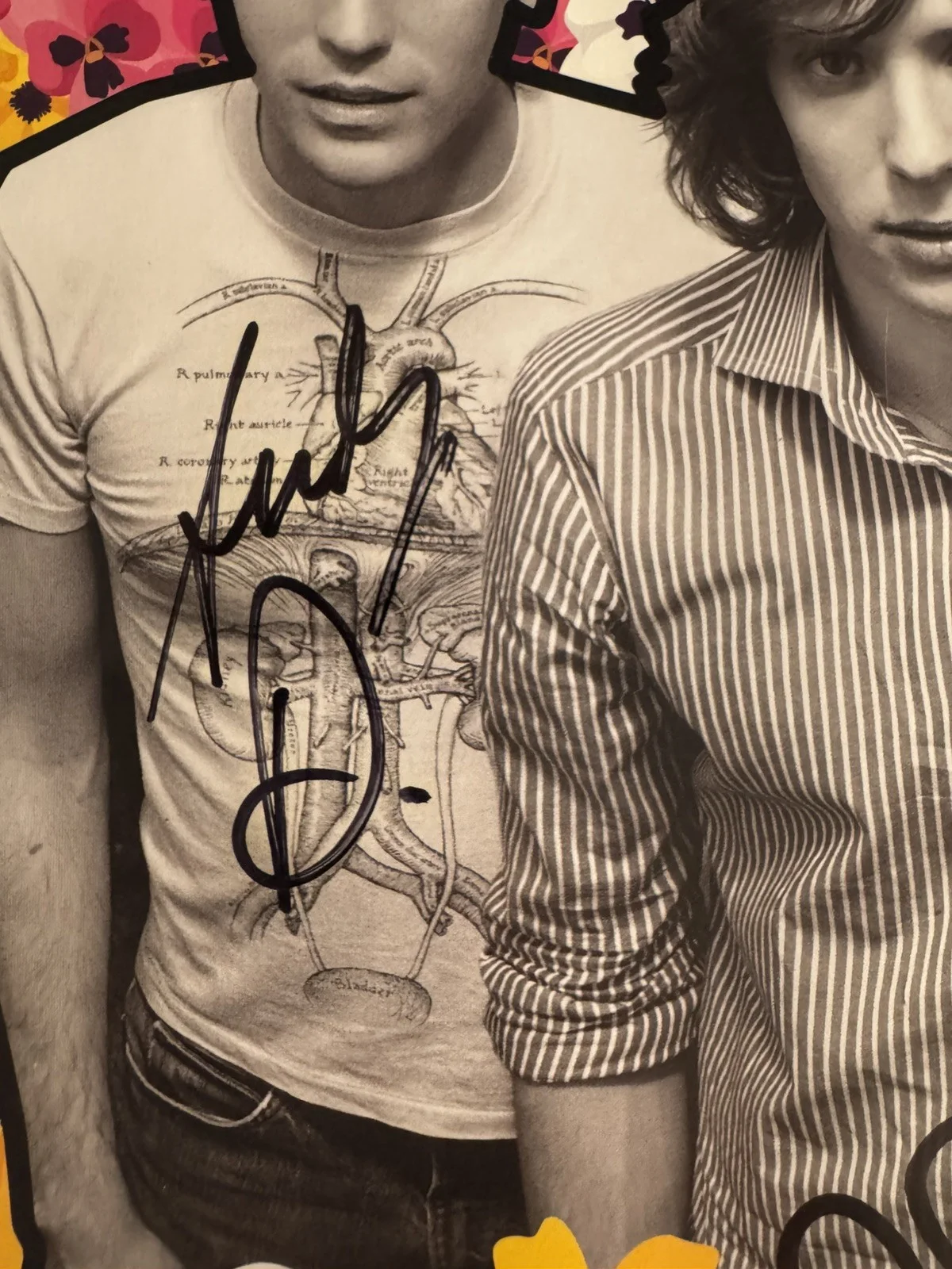 Rare OK Go Signed Promo Poster - 5 autographs Full Band+ Early 2000s Era, image 4